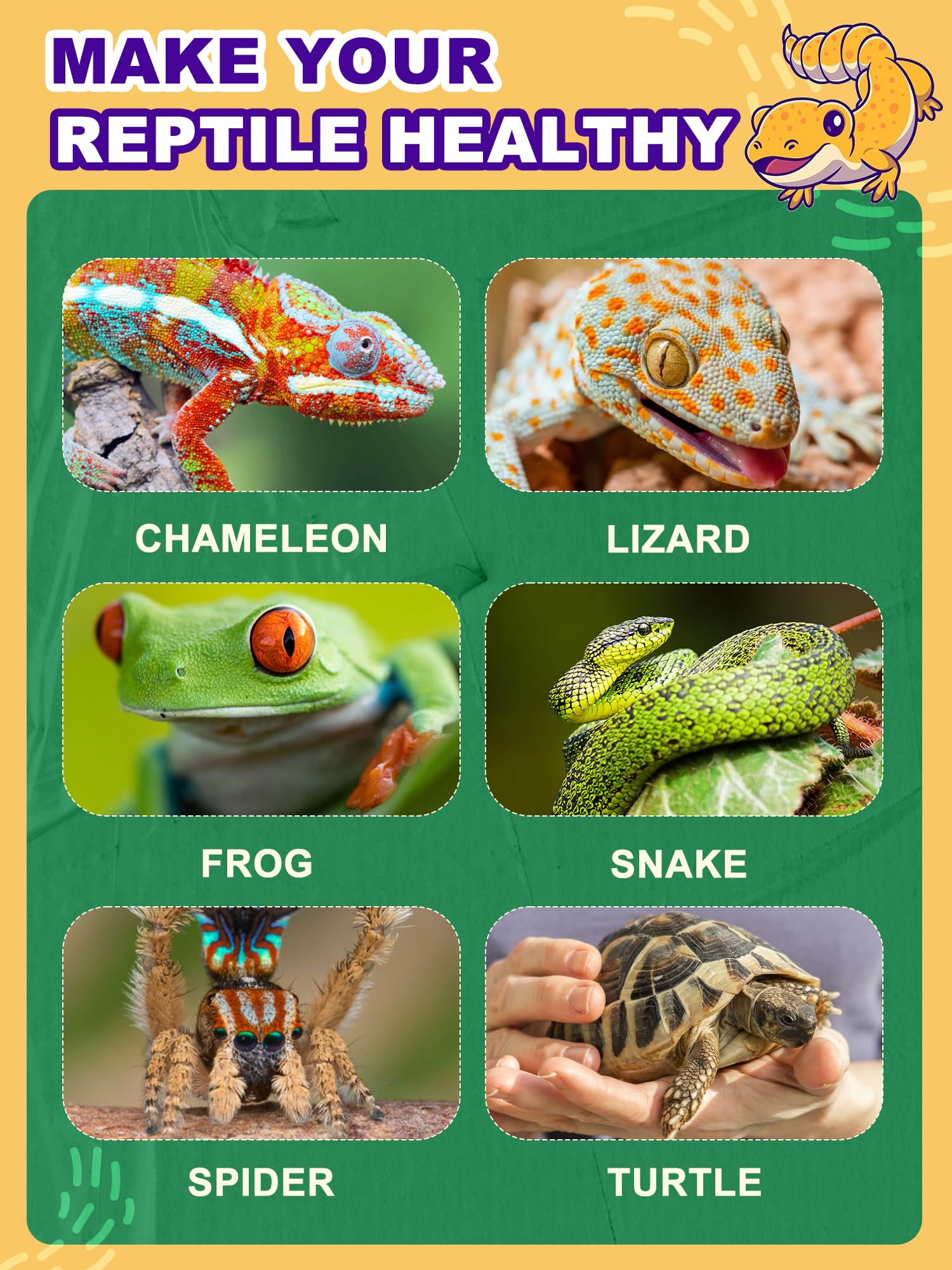 Heat Lamp Bulb, 100 Watt Full Spectrum Uva Uvb Reptile Heat Bulb, Basking Spot Light, Simulate Natural Sun Light For Reptile And