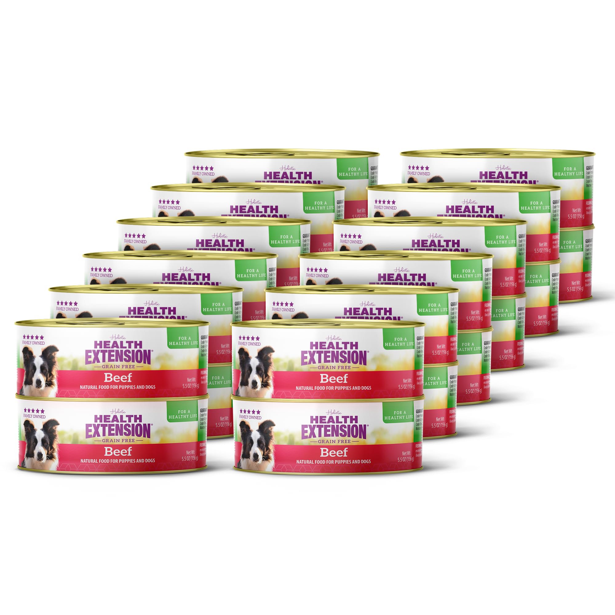 Health Extension 95% Beef Grain-Free Wet Dog Food, High Protein Recipe, Limited Ingredients, Picky Eaters, Ideal for Sensitive S
