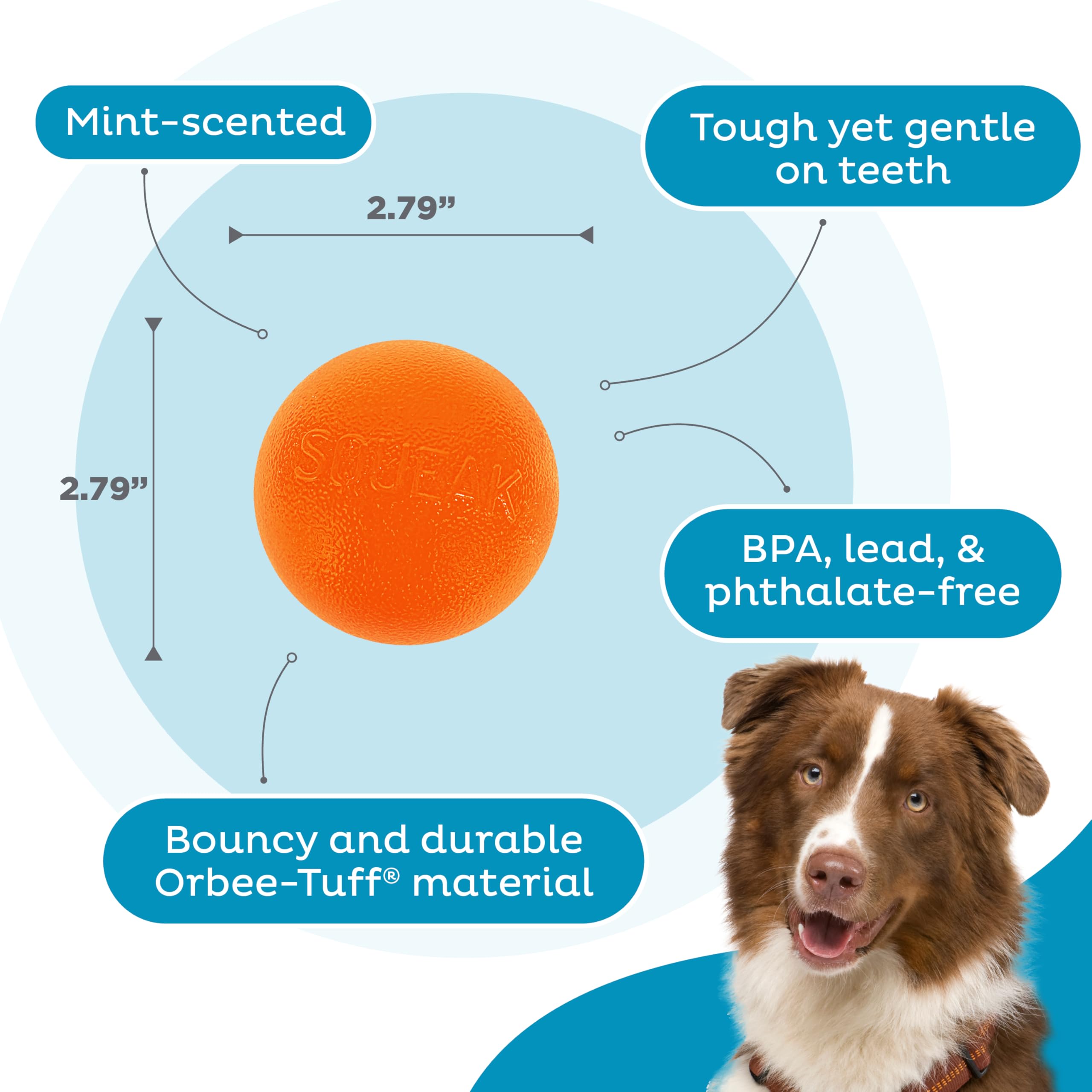 Outward Hound By Planet Dog Squeak Ball Bouncy Fetch Dog Toy, Orange