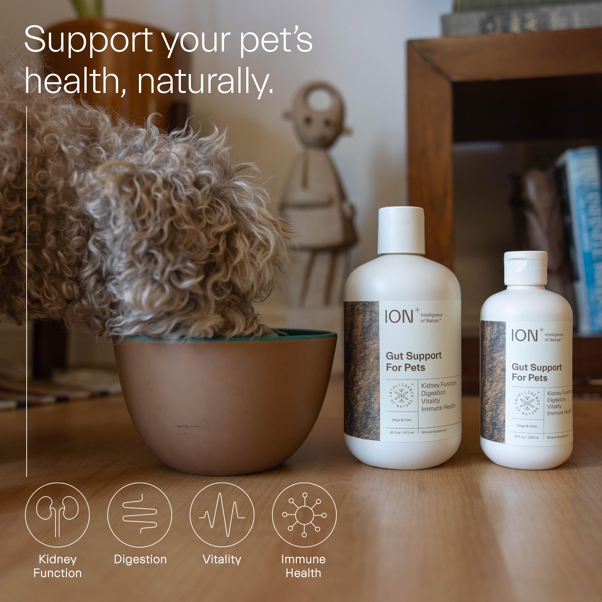 ION* Gut Support Liquid Probiotics for Dogs & Cats, 8 fl oz - Digestive Health & Skin Care for Pets