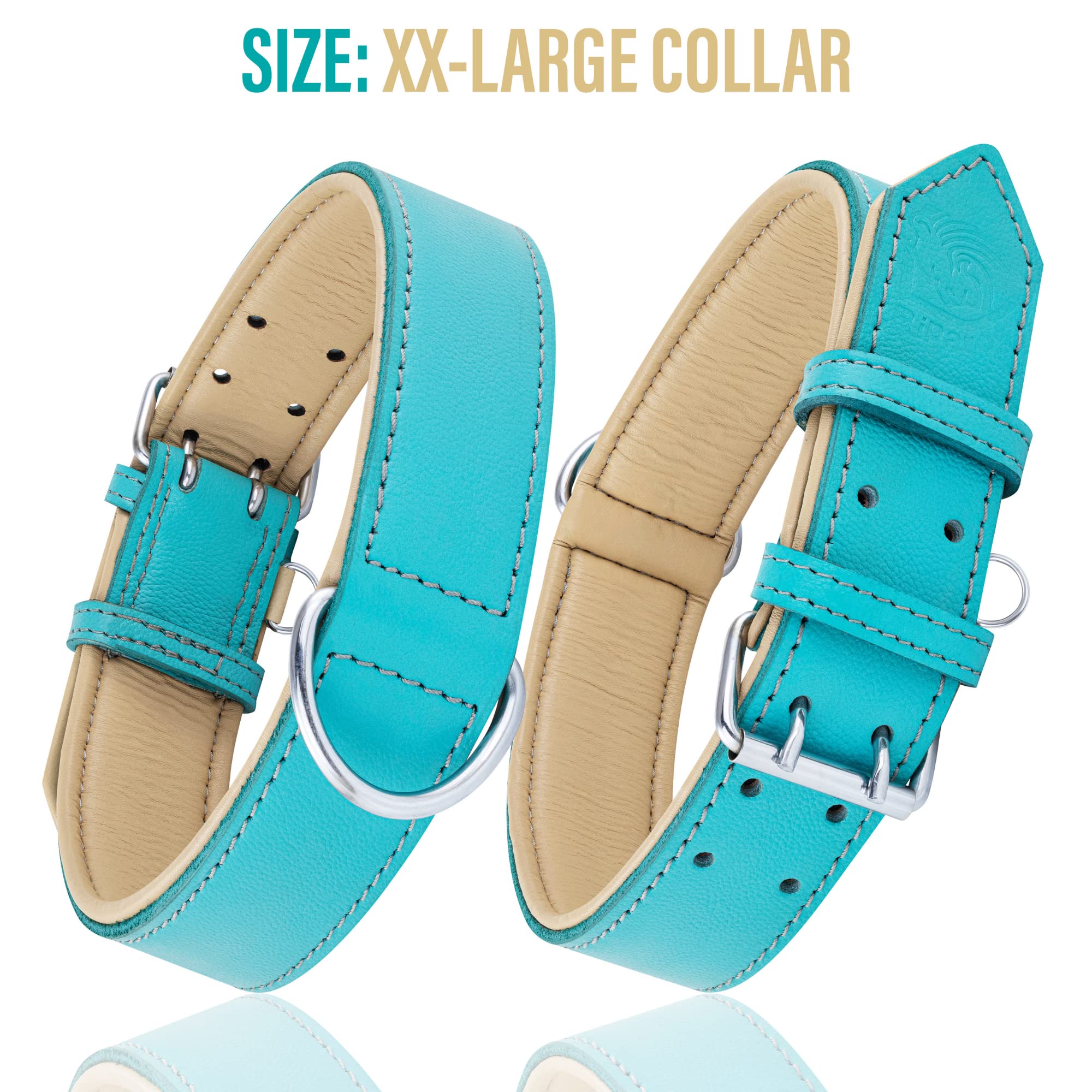Riparo Large Dog Collar, Dog Collar For Large Dogs, Teal Dog Collar With Dog Tag Holder (L, Aqua)
