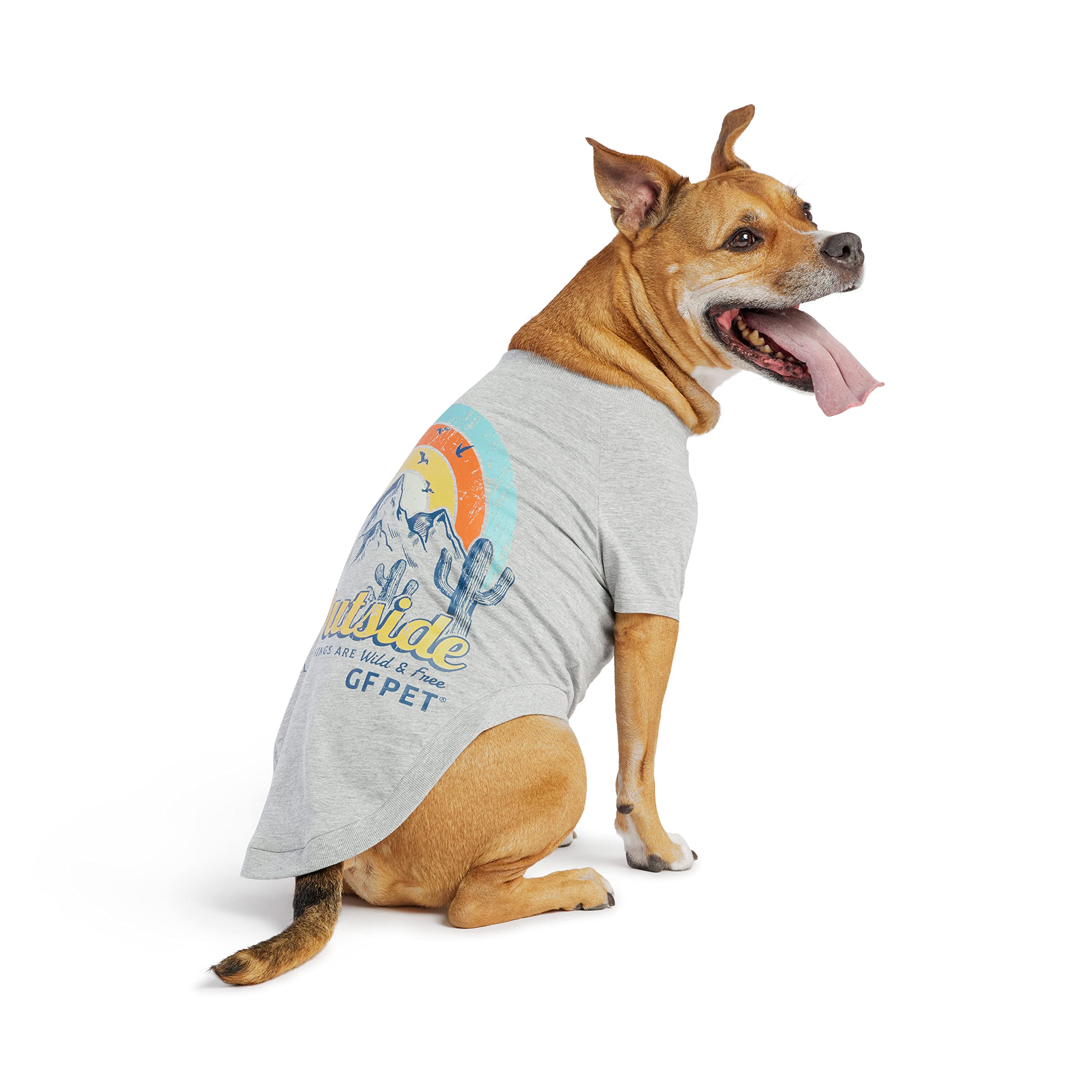 Gf Pet - Graphic Tee Dog T-Shirt (Heather Grey, Medium)