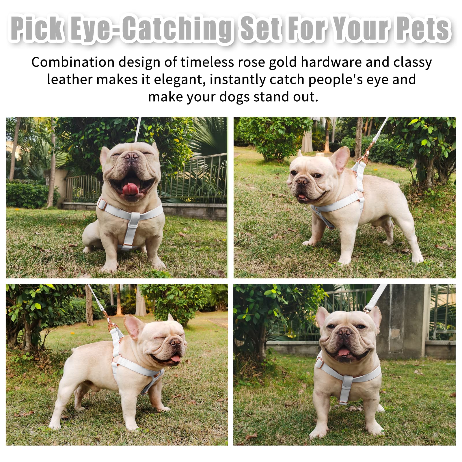 Soft Leather No Pull Dog Harness - Adjustable Step In Dog Harness With Rose Gold Heavy Duty Metal Buckle, Freedom Nylon Dog Halter Vests For Small Medium Large Dogs Easy Walking Training (White,S)