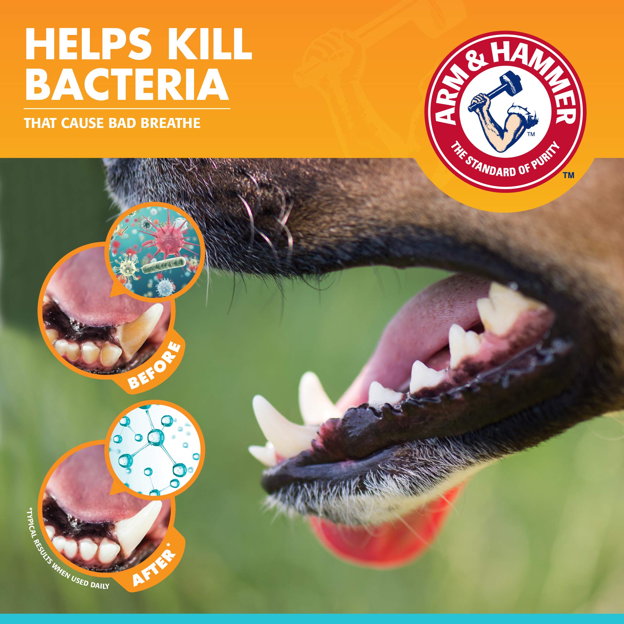 Arm & Hammer for Pets Fresh Breath Kit for Dogs | Contains Toothpaste, Toothbrush & Fingerbrush | Reduces Plaque & Tartar Buildu