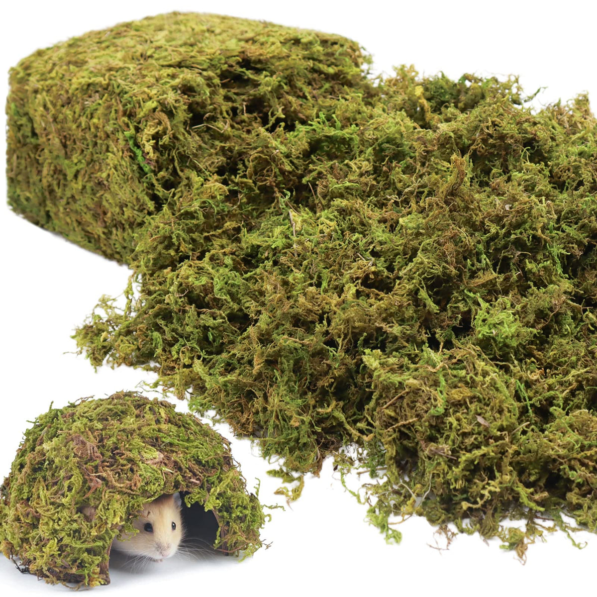 Riare 25QT Natural Hamster Moss Bedding Nesting-Soft Forest Moss Hamster Habitat Reptile Moss for Dwarf Syrian Hamsters, Mices, 