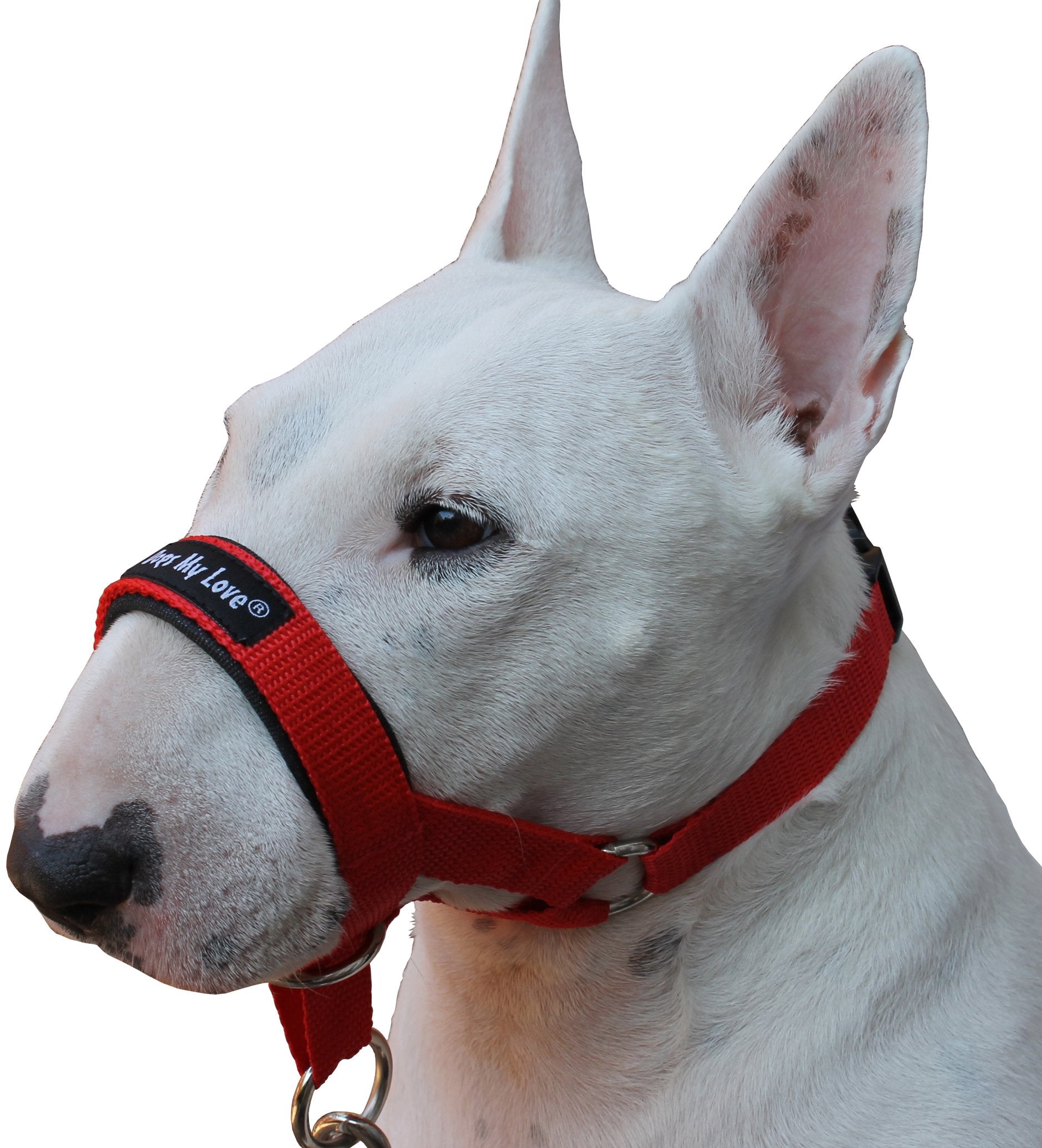 Dog Head Collar Halter Red 6 Sizes (L: 10.25'-12.25' Snout)