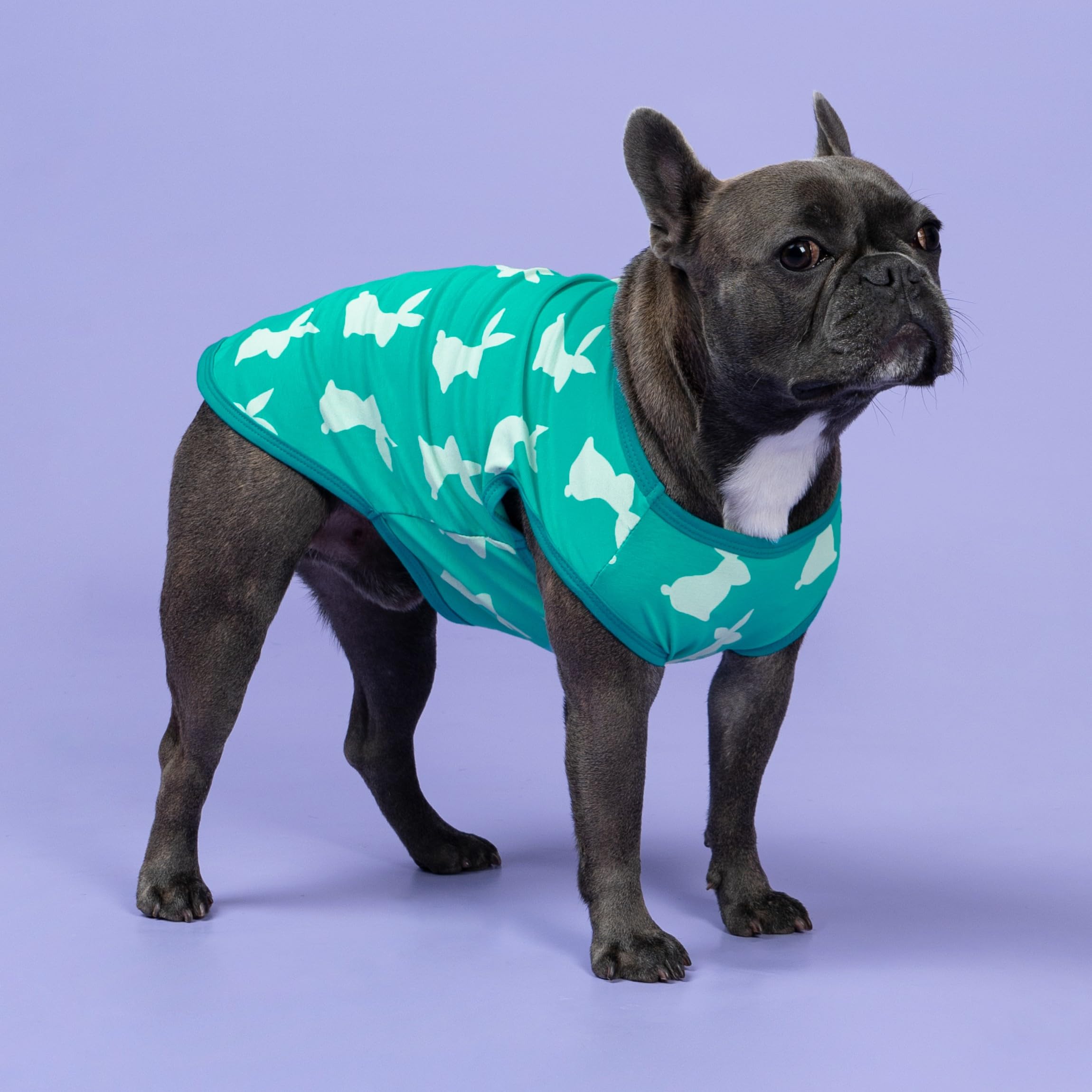 Fitwarm Easter Bunny Dog Shirt, Dog Clothes For Small Dogs Boy Girl, Pet Cat Holiday Outfit, Teal Green, Large