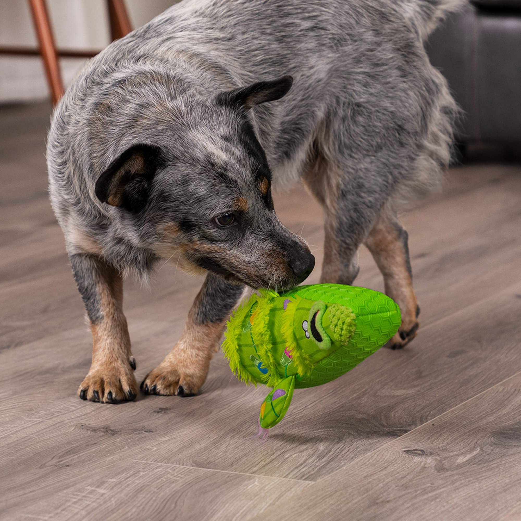 goDog Holiday Collection Cactus Squeaky Dog Toy, One Size, TPE Plush, Chew Guard Technology, Green