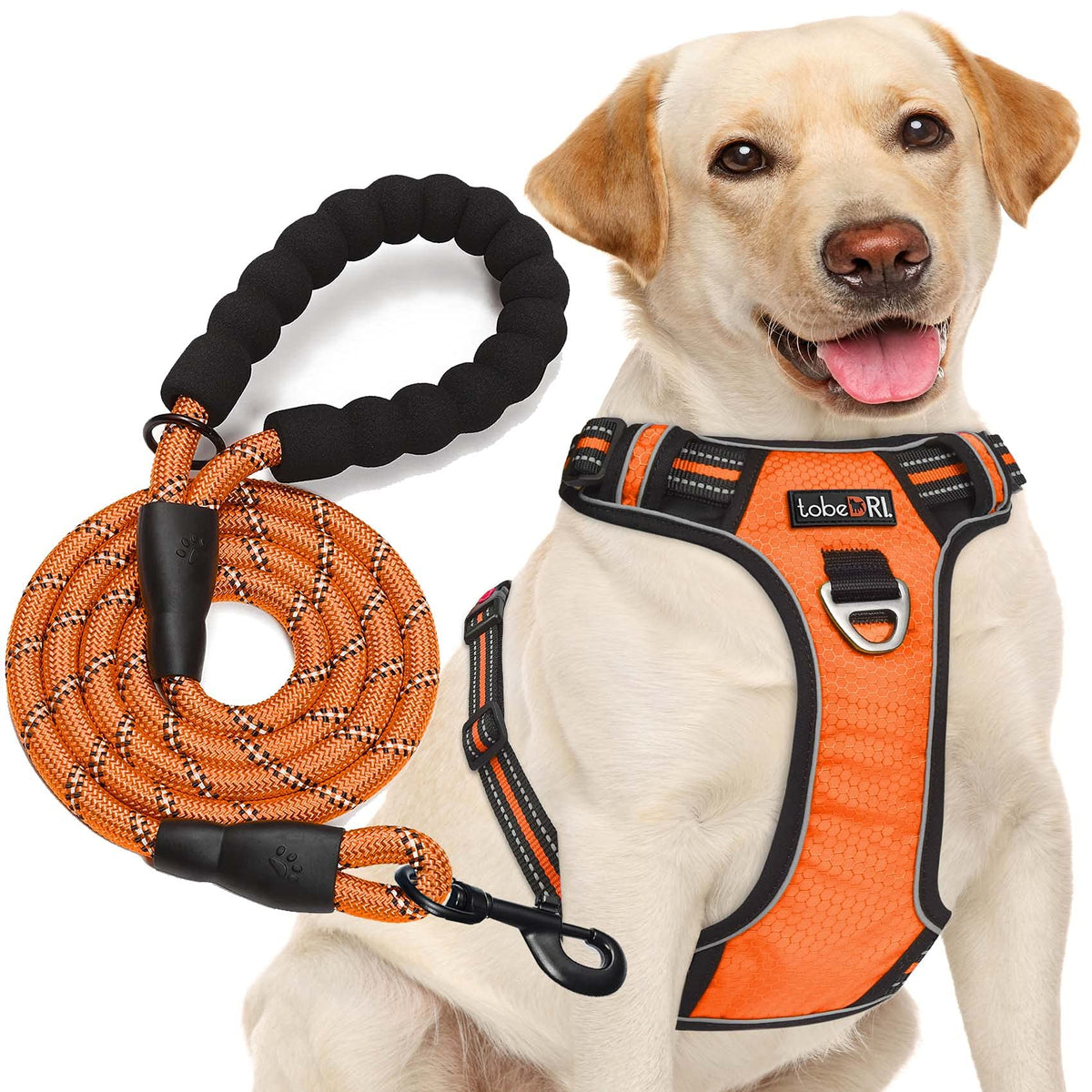 Tobedri No Pull Dog Harness Adjustable Reflective Oxford Easy Control Medium Large Dog Harness With A Free Heavy Duty 5Ft Dog Leash (S (Chest: 17.5'-21'), Orange Harness+Leash)