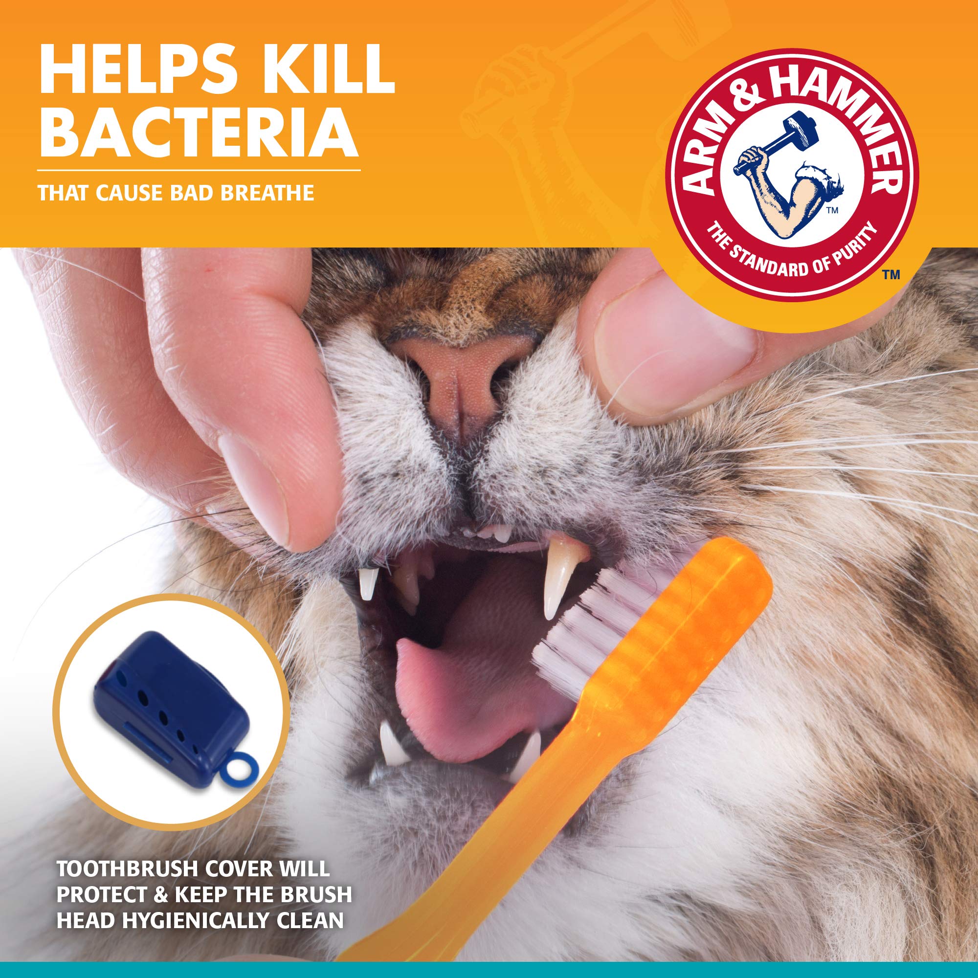 Arm & Hammer Fresh Breath Dental Kit for Kittens | Cat Toothbrush and Toothpaste with Baking Soda | Cat Oral Care, Cat Dental Ki
