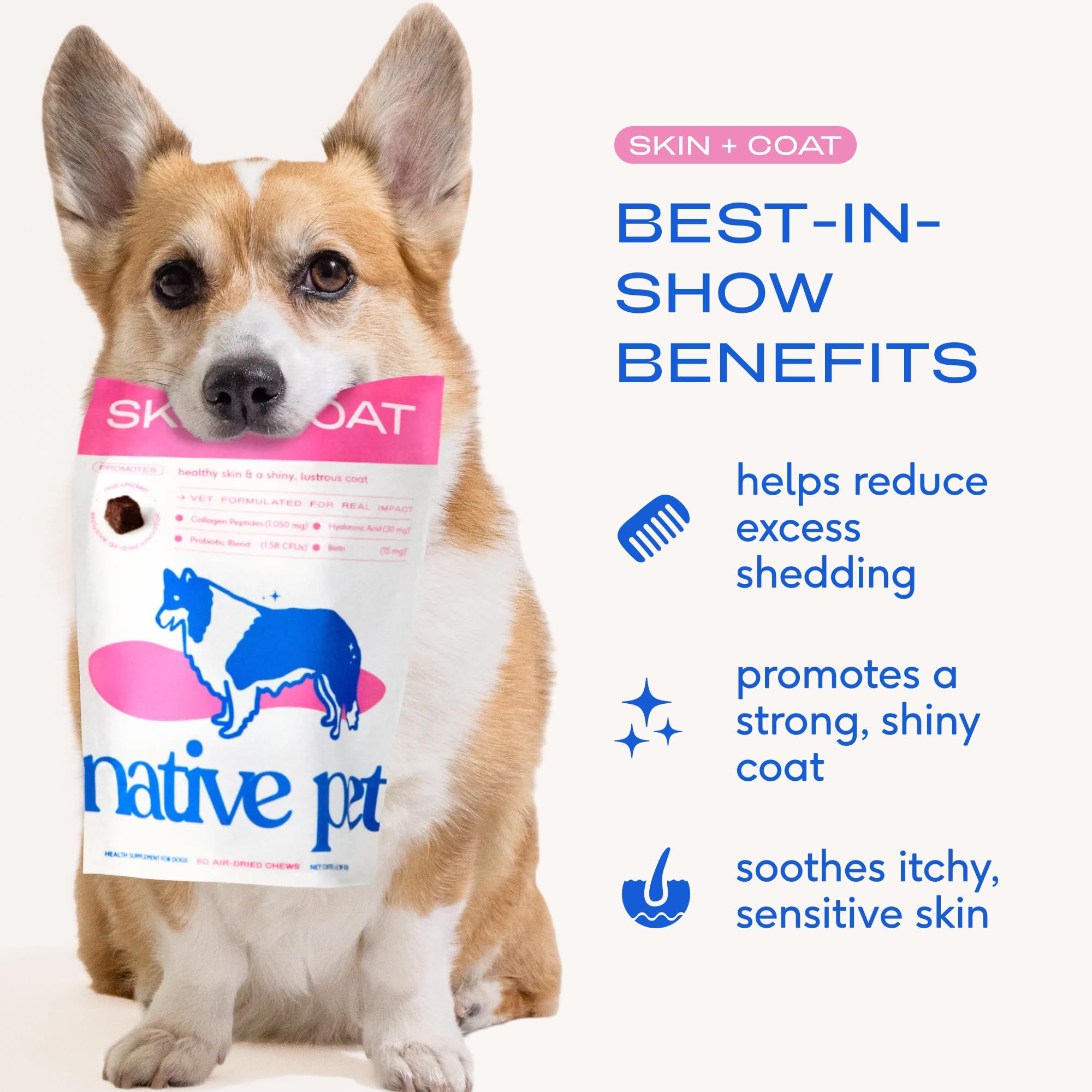 Native Pet Omega Skin and Coat Chews for Dogs - Dog Skin and Coat Supplement for Healthy, Shiny Fur, Reduce Shedding and Dry Spo
