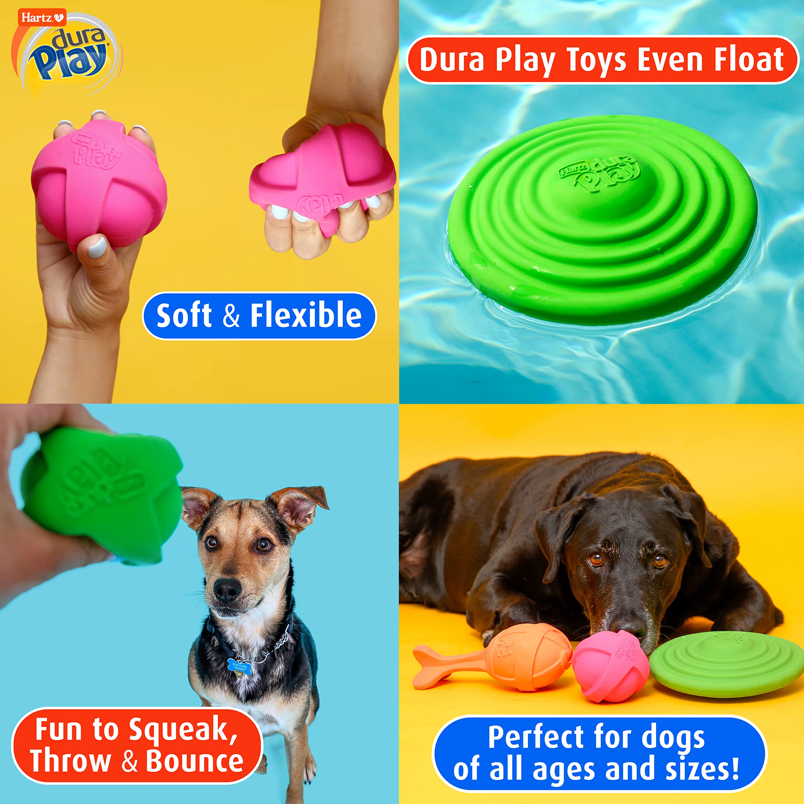 Hartz DuraPlay Bone Squeaky Dog Toy, Small, Natural Rubber, 3 Pack, Neon Green/Pink/Orange