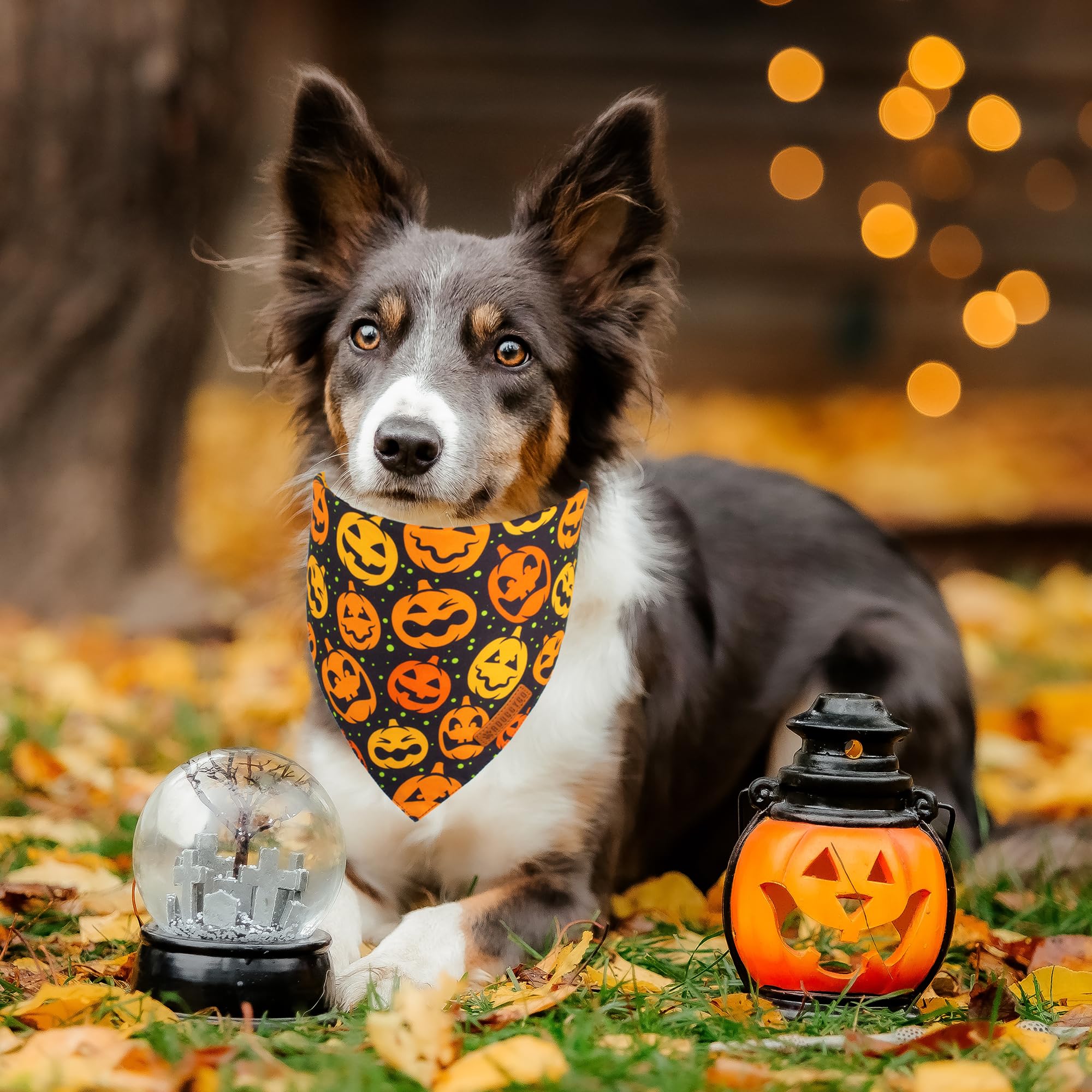 ADOGGYGO Halloween Dog Bandana, Pumpkin Bat Pet Scarf, Premium Durable Fabric, Adjustable Fit Halloween Bandanas for Medium Larg