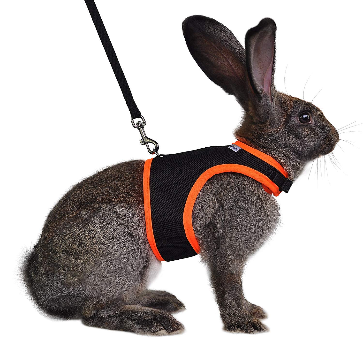 Niteangel Adjustable Soft Harness With Elastic Leash For Rabbits (M, Black)