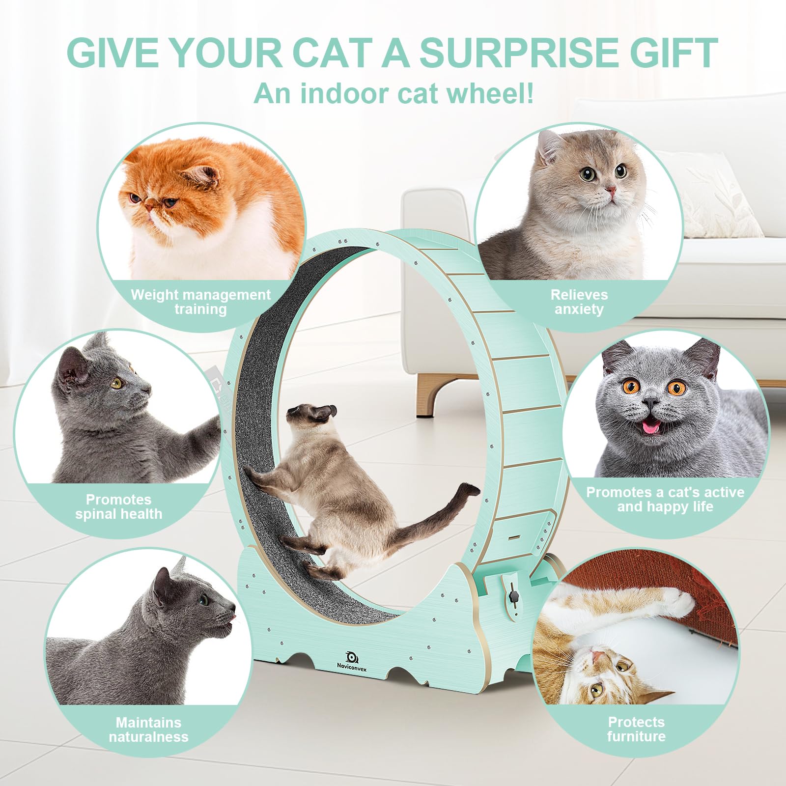 Naviconvex Cat Wheel, 47 Xl Large Cats Exercise Running Wheel, Cat Treadmill For Indoor Cats, Green