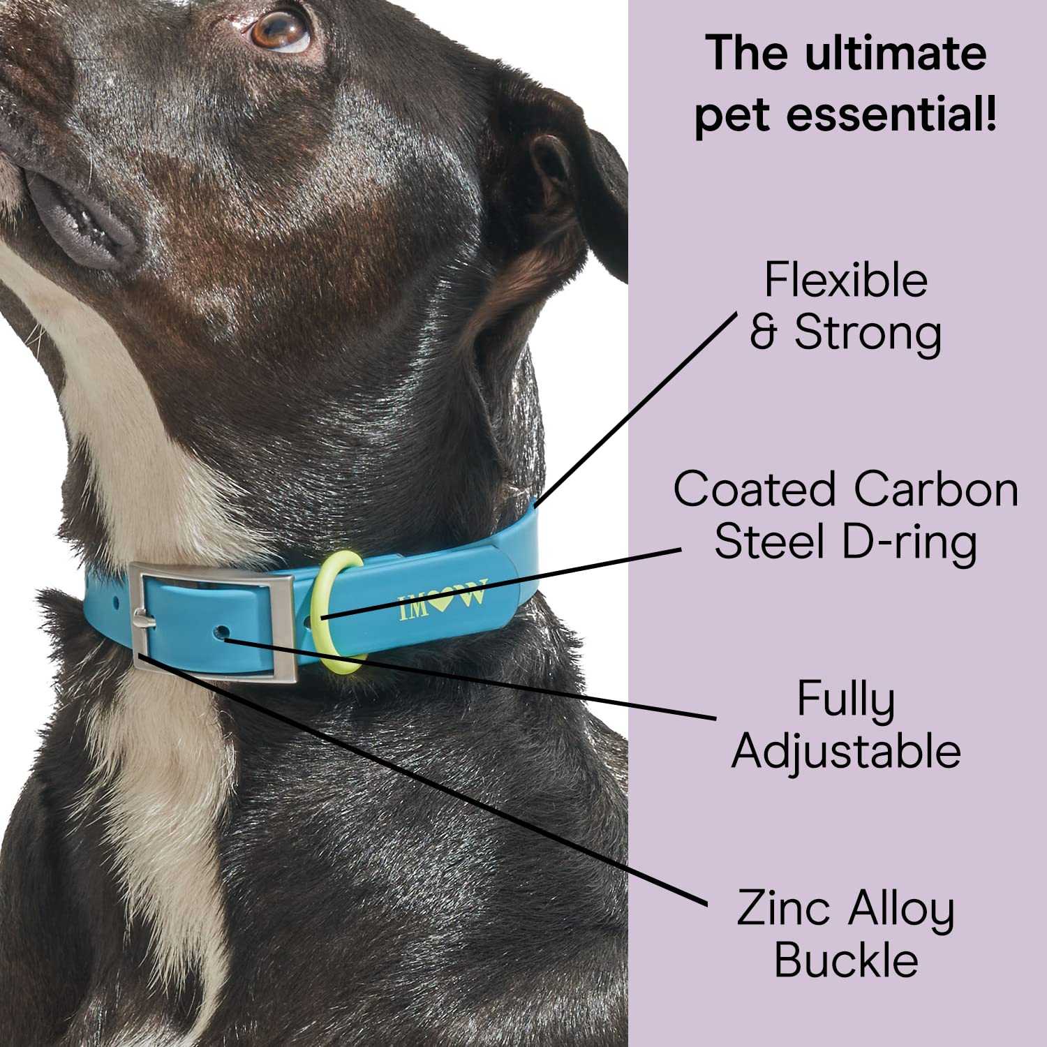 Wild One, Limited Edition, Designer Collection, Blue Dog Collar, Easy-Clean, All Weather Flex-Poly Strap With Metal, Durable, Di