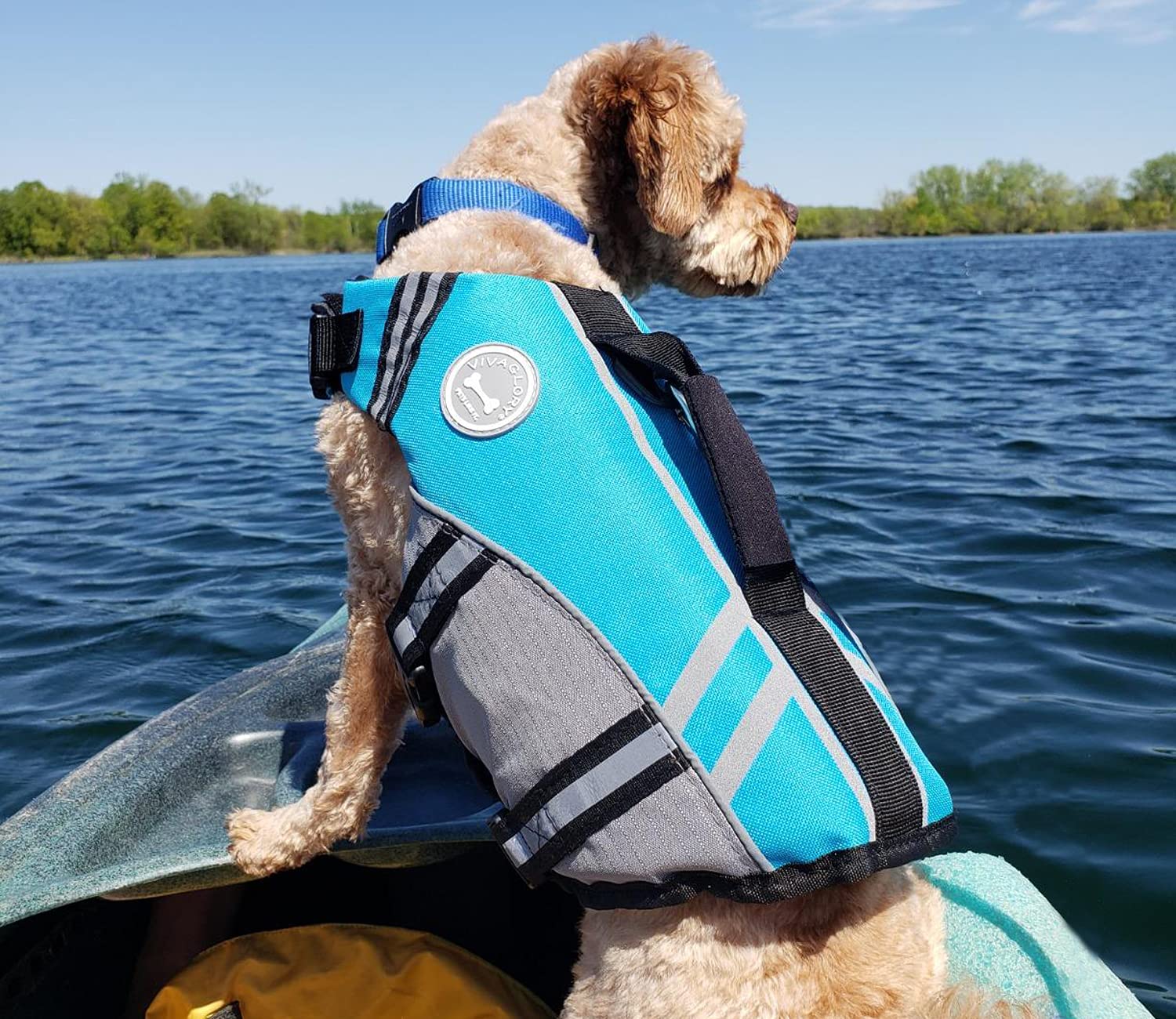 Vivaglory Sports Style Dog Life Jacket With Adjustable & Durable, Extra Flotation Swim Life Vest With Secure Fastening System For Medium Dogs, Blue