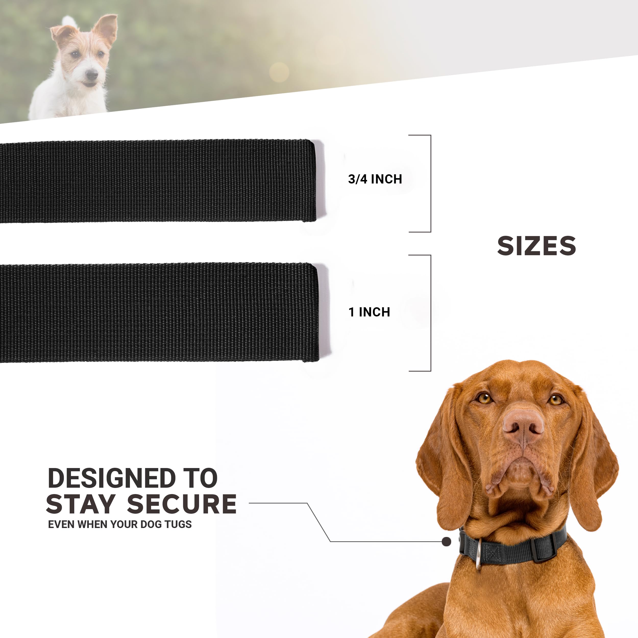 Moose Pet Wear Dog Collar - Oregon State University Beavers Adjustable Pet Collars, 1 Inch Wide, Large, Carbon Fiber