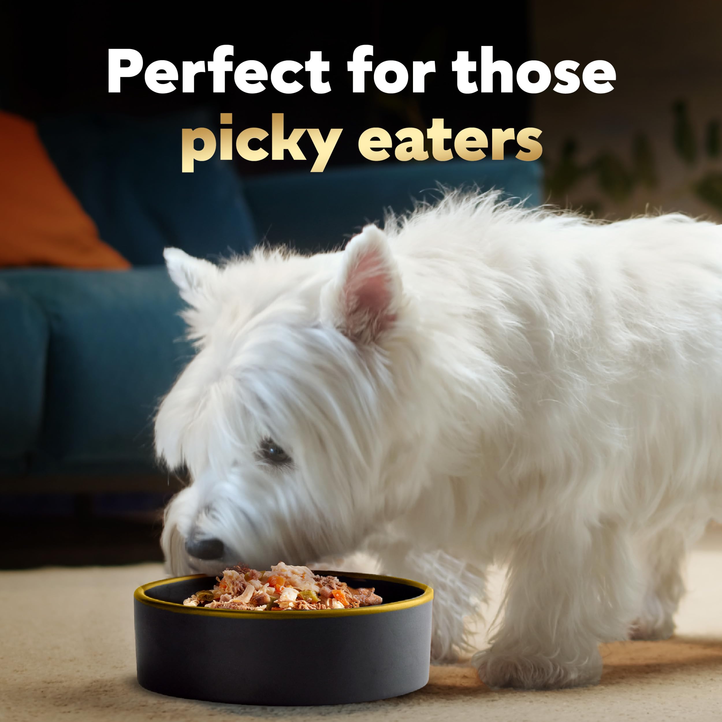 Cesar Simply Crafted Adult Wet Dog Food Meal Topper, Chicken, Carrots, Barley & Spinach, 1.3oz. (10 Count, Pack of 1)