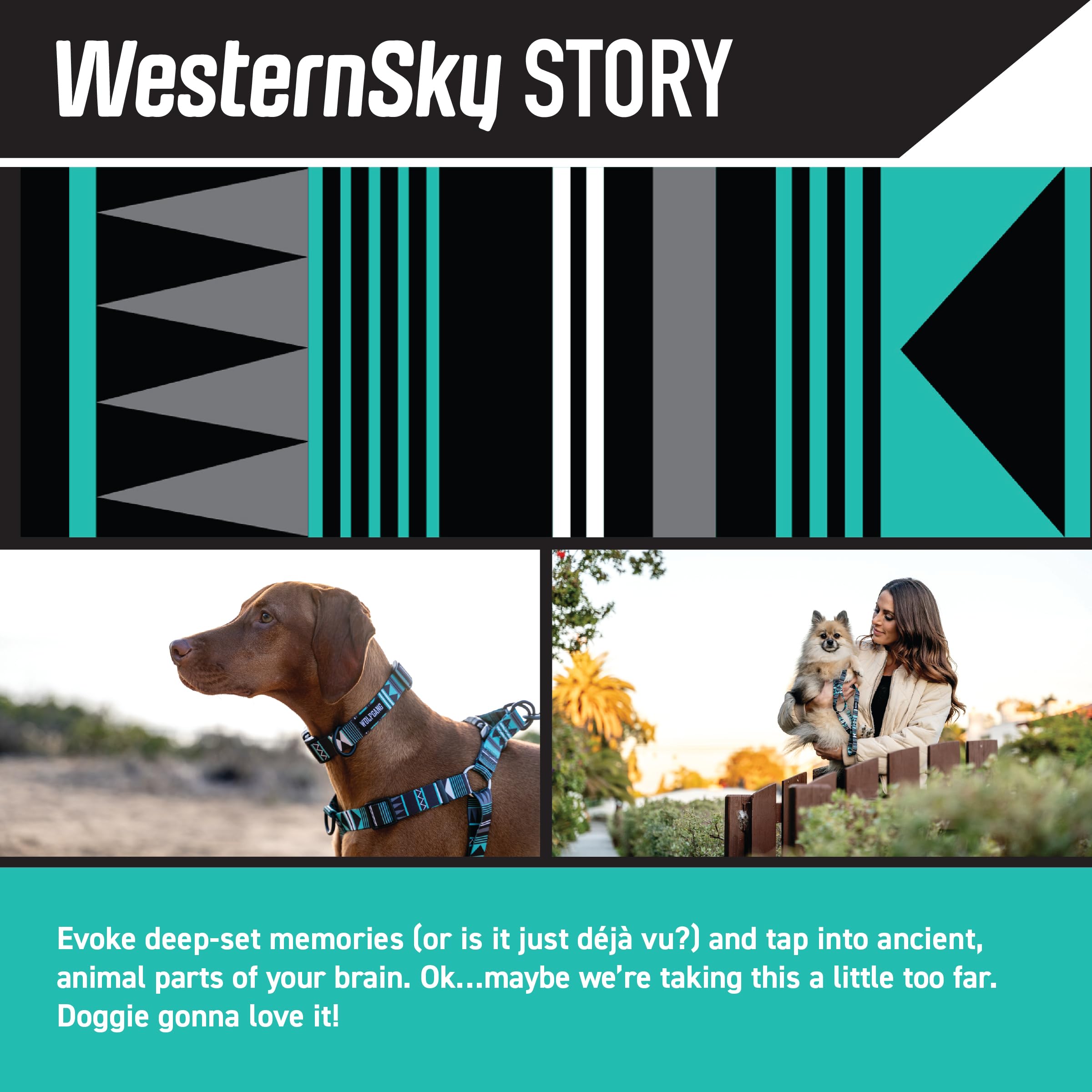 Wolfgang Heavy Duty Adjustable Dog Harness, Pull-Tested for Walking & Training, WesternSky Print, Small