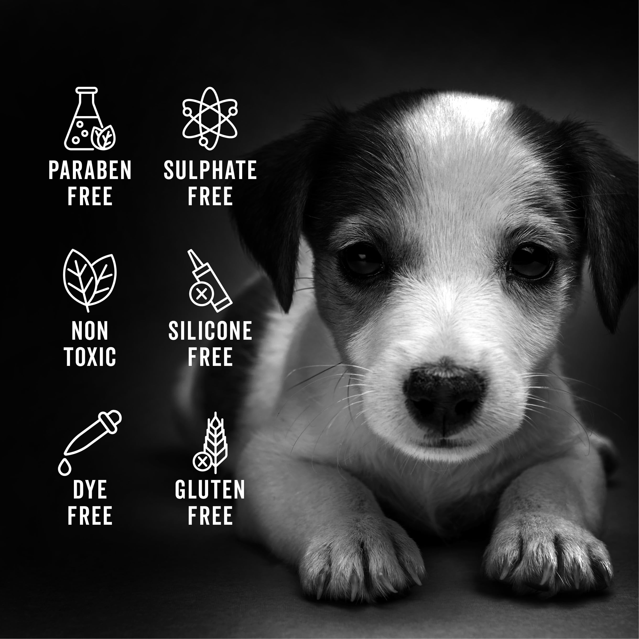 Pride and Groom The Sensitive One | Dog Grooming Shampoo for Puppies and Dogs with Itchy, Dry Skin| Tearless All Natural Body Wa