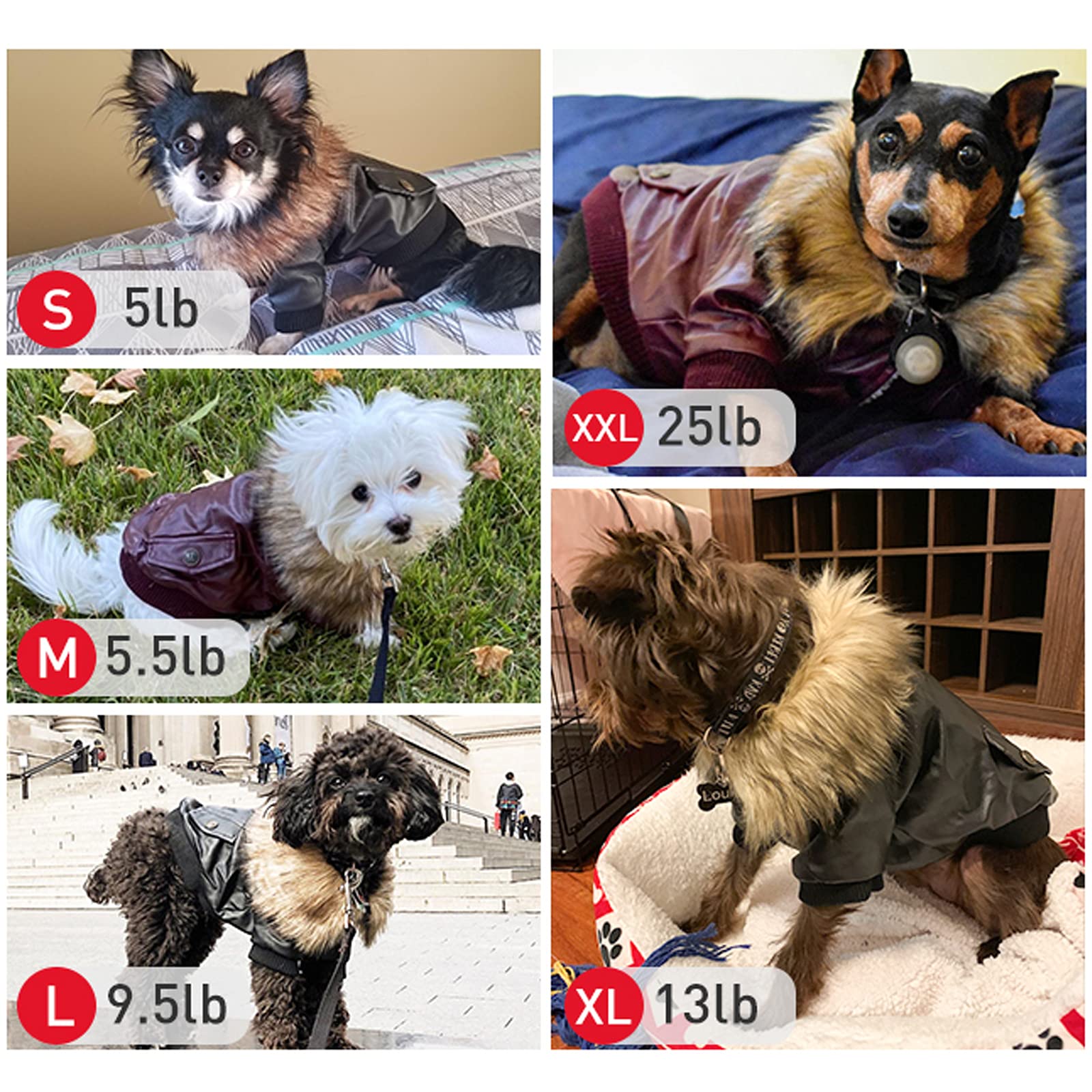 Lesypet Dog Leather Jacket For Small Dogs, Small Dog Jacket Dog Coat Double Layer With Warm Fleece Lined For Small Dogs Puppy Ca