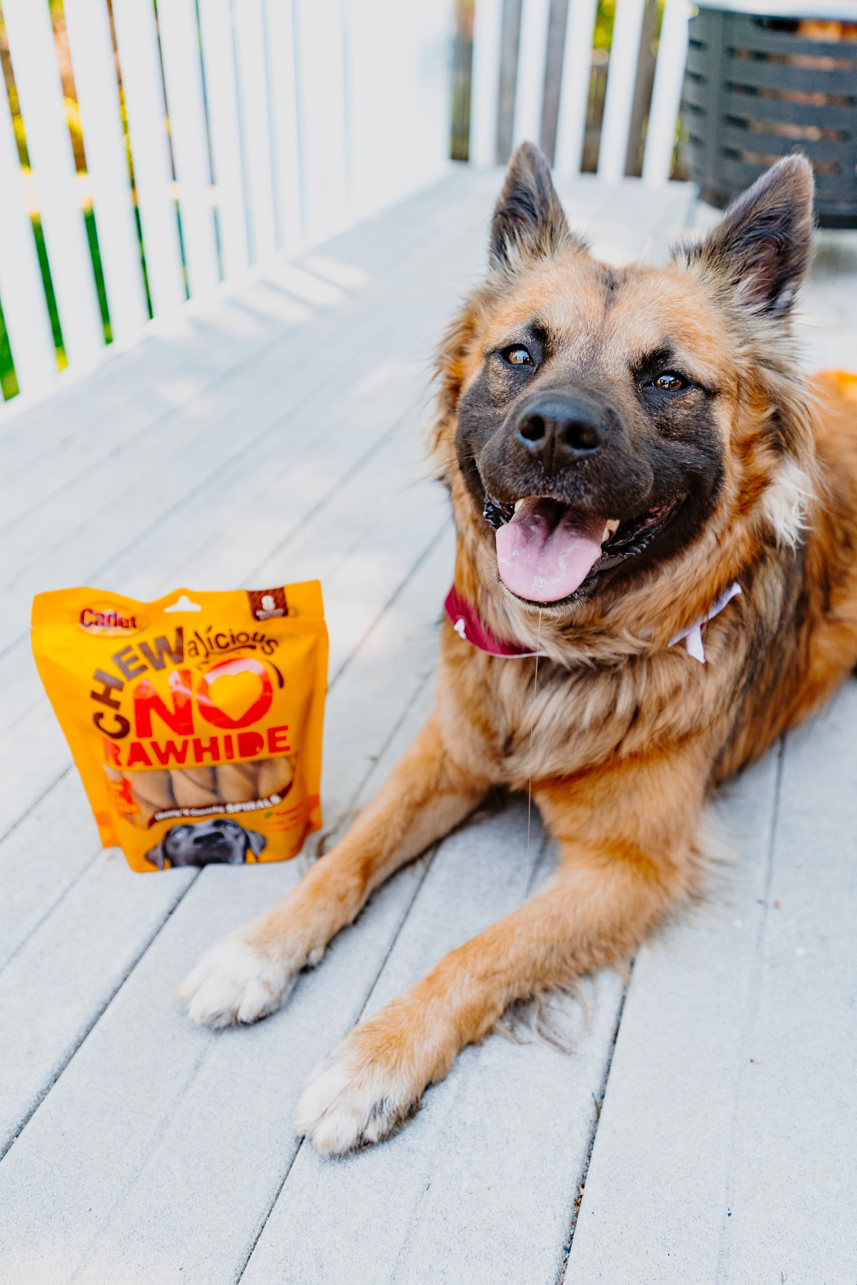 Cadet Chewalicious Chewy N Crunchy Spiral Dog Treats, Limited Ingredient, Rawhide-Free, Long-Lasting Chews for Dogs Made with R