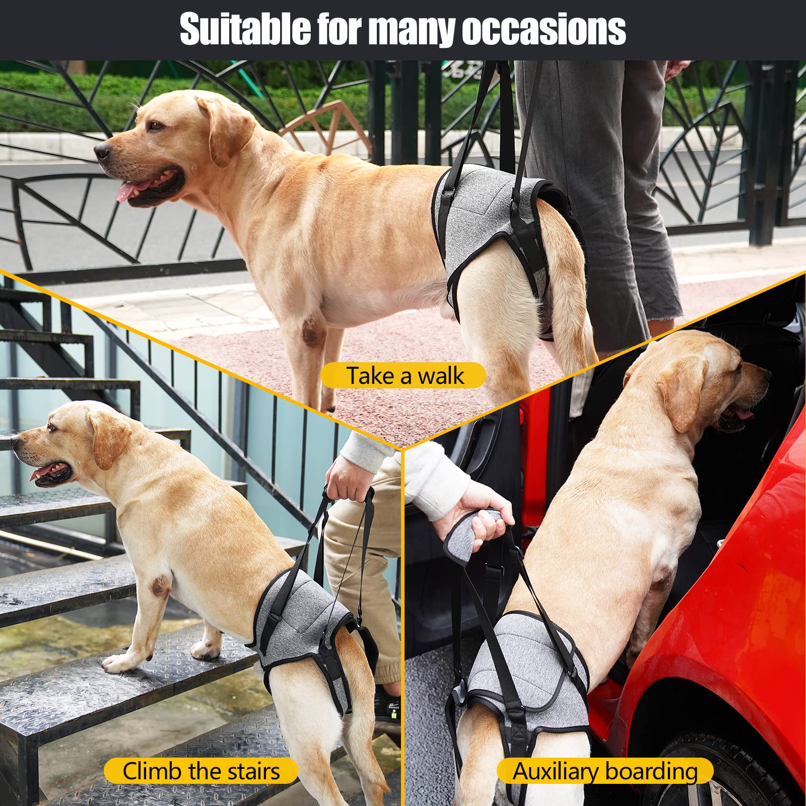 Johnbolin Dog Lift Harness, Dog Sling With Padded, Hind Leg Support To Help Rehabilitate, Helps Senior, Injured, Disabled And Af