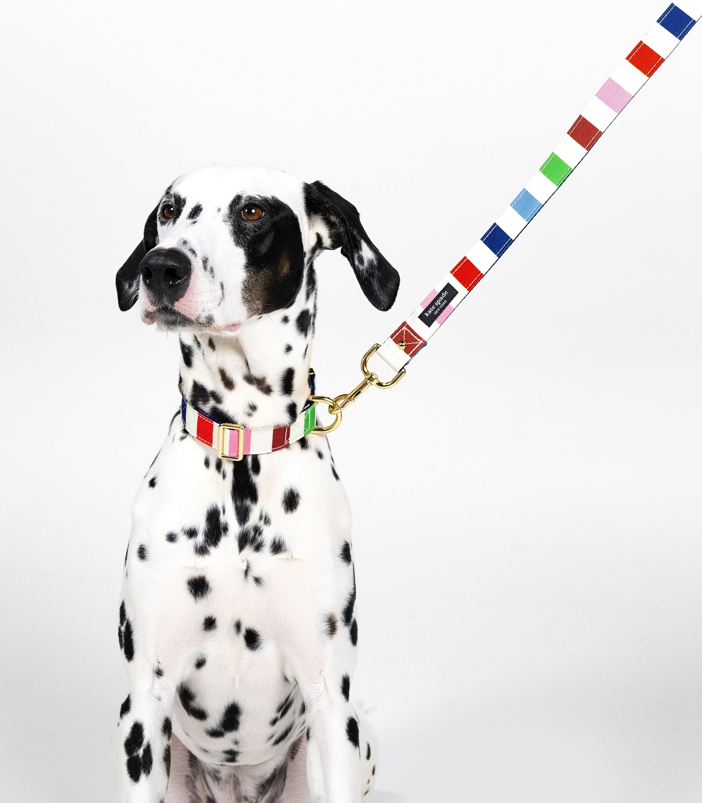 Kate Spade New York Cute Dog Collar With Gold Metal Details & Plastic Buckle, 15'' To 22'' Adjustable Dog Collar For Female Or M
