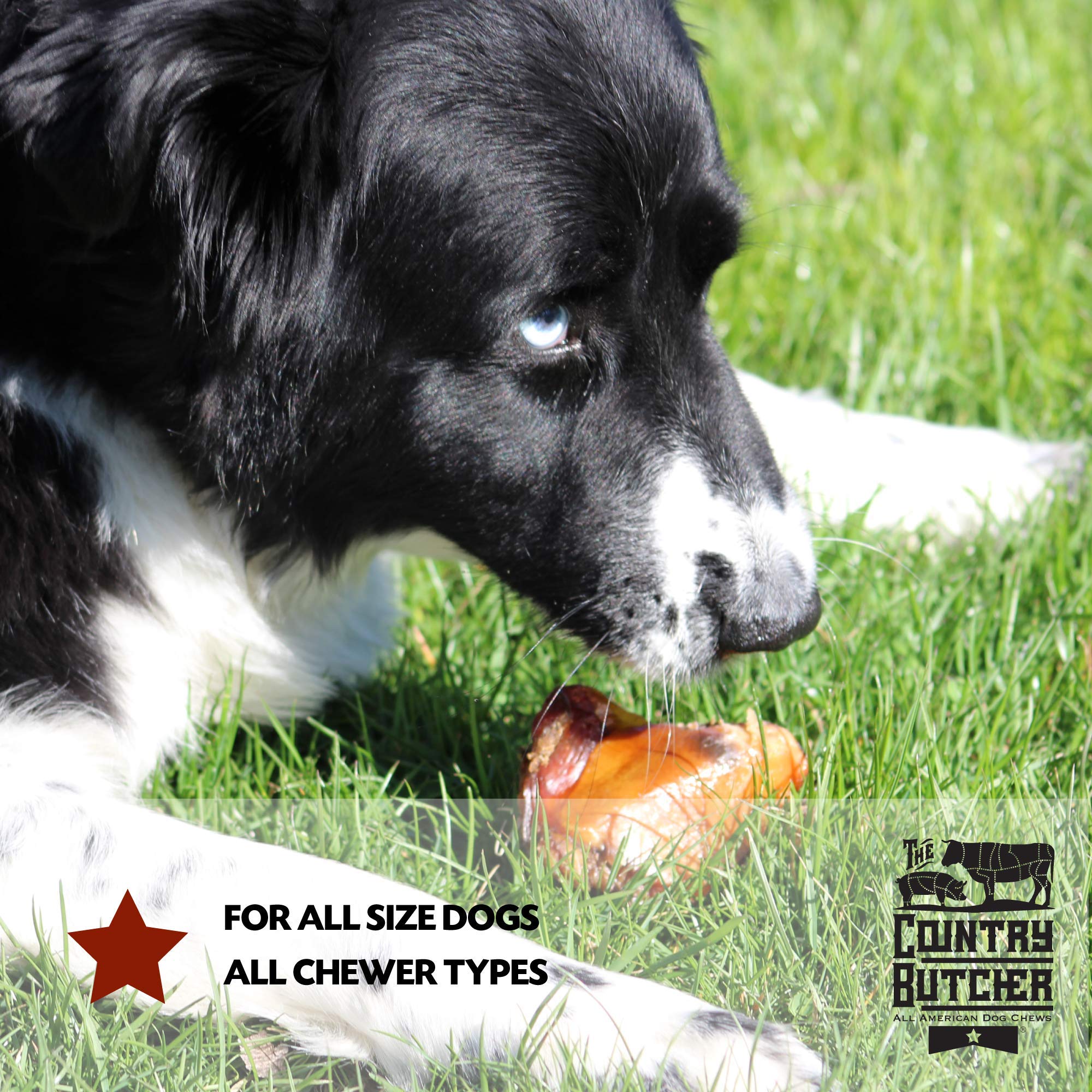 THE COUNTRY BUTCHER Meaty Knee Cap Dog Bones - Natural Chews for Aggressive Chewers, 5 Count, Made in USA