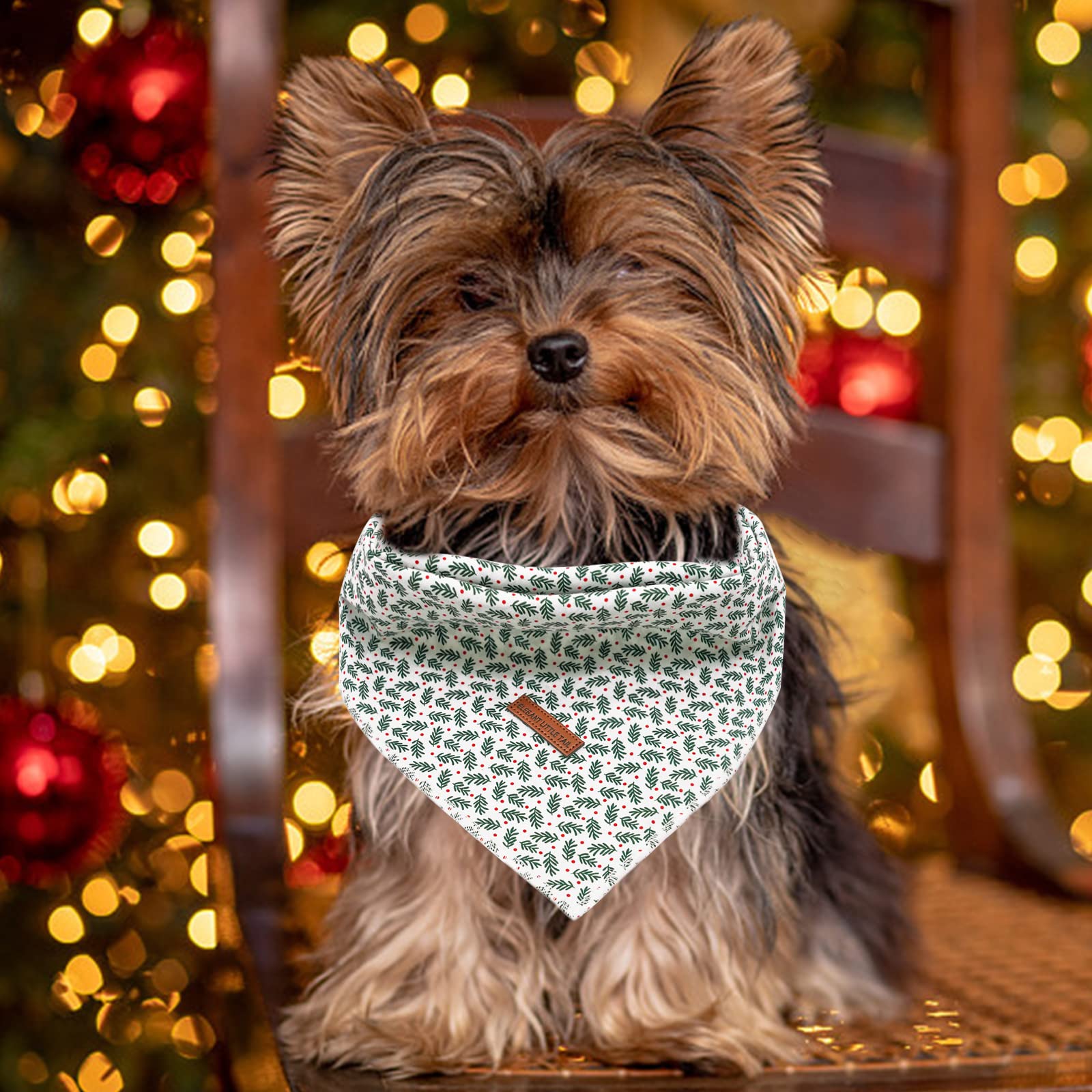 Elegant Little Tail Dog Bandanas - 1Pack Washable Christmas Scarf, Female Square Bib Kerchief, Adjustable Pet Bandana For Small