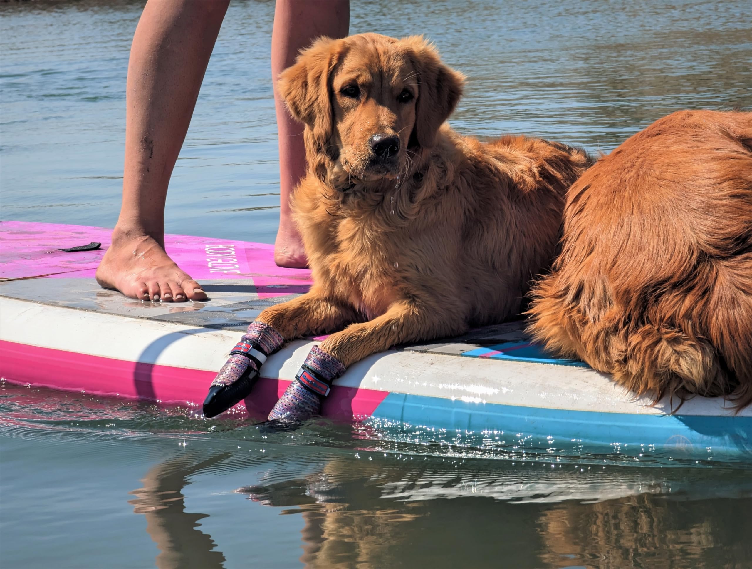 Bark Brite Lightweight Neoprene Paw Protector Dog Boots Designed For Comfort And Breathability In 5 Sizes (Lavender Small)