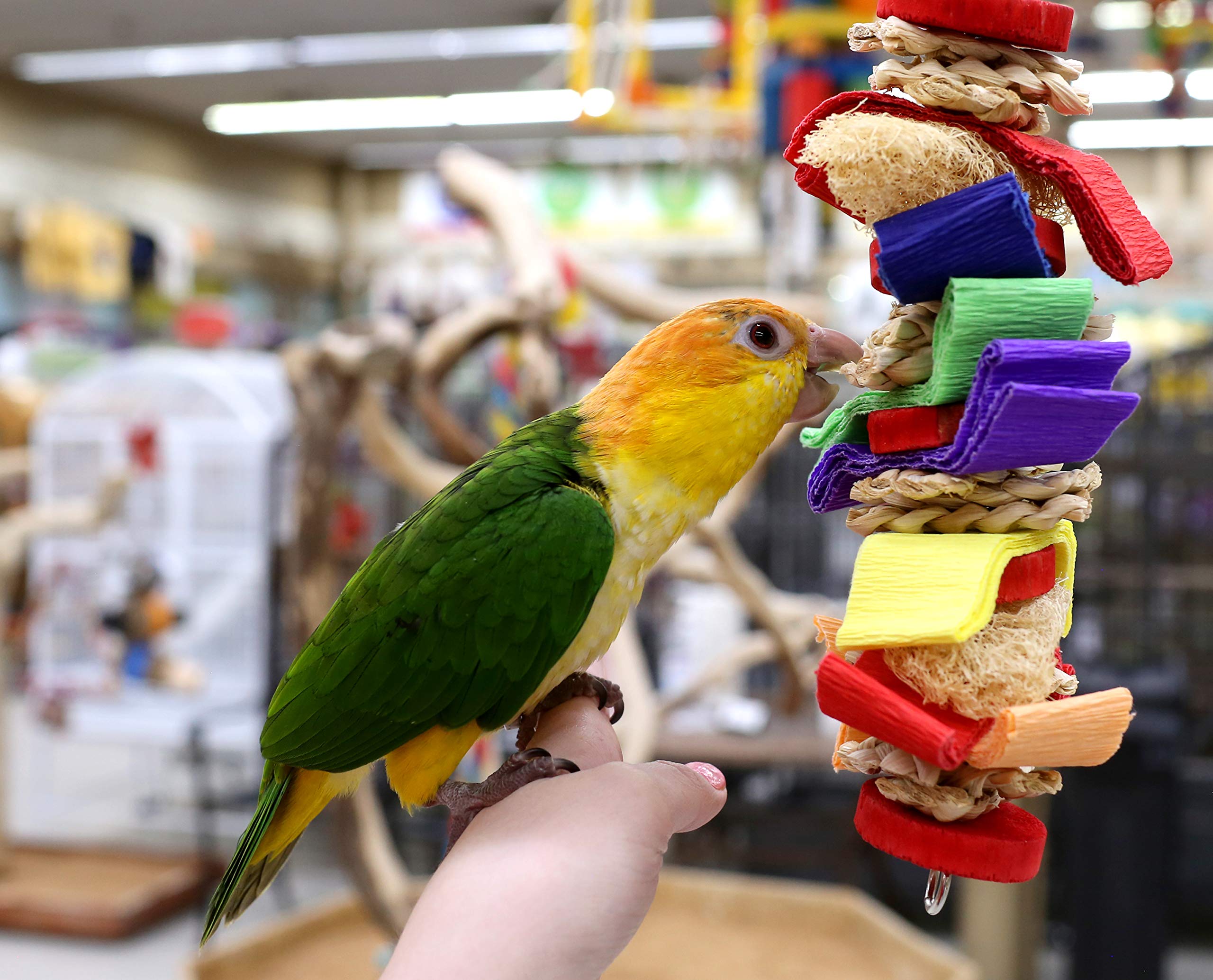 Parrot Wizard Loofah Drizzle Shreddable Toy (Choose A Size) (Large)