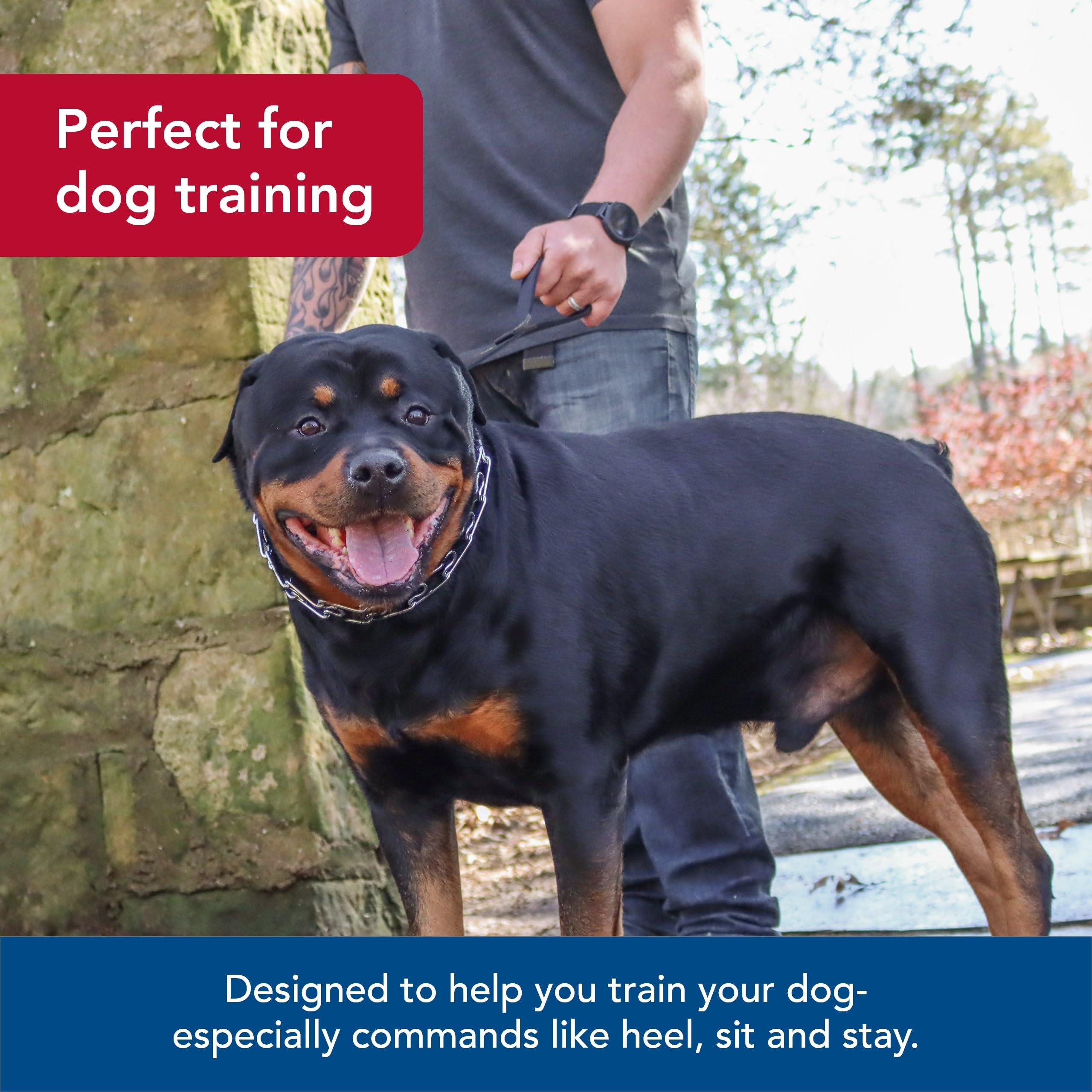 Coastal Pet Titan Dog Prong Training Collar - Pet Training Collar For Dogs - Rust-Resistant Metal Dog Collar For Dog Training - Prong Dog Chain Collar - Quality Dog Supplies - 3.3 Mm X 20'