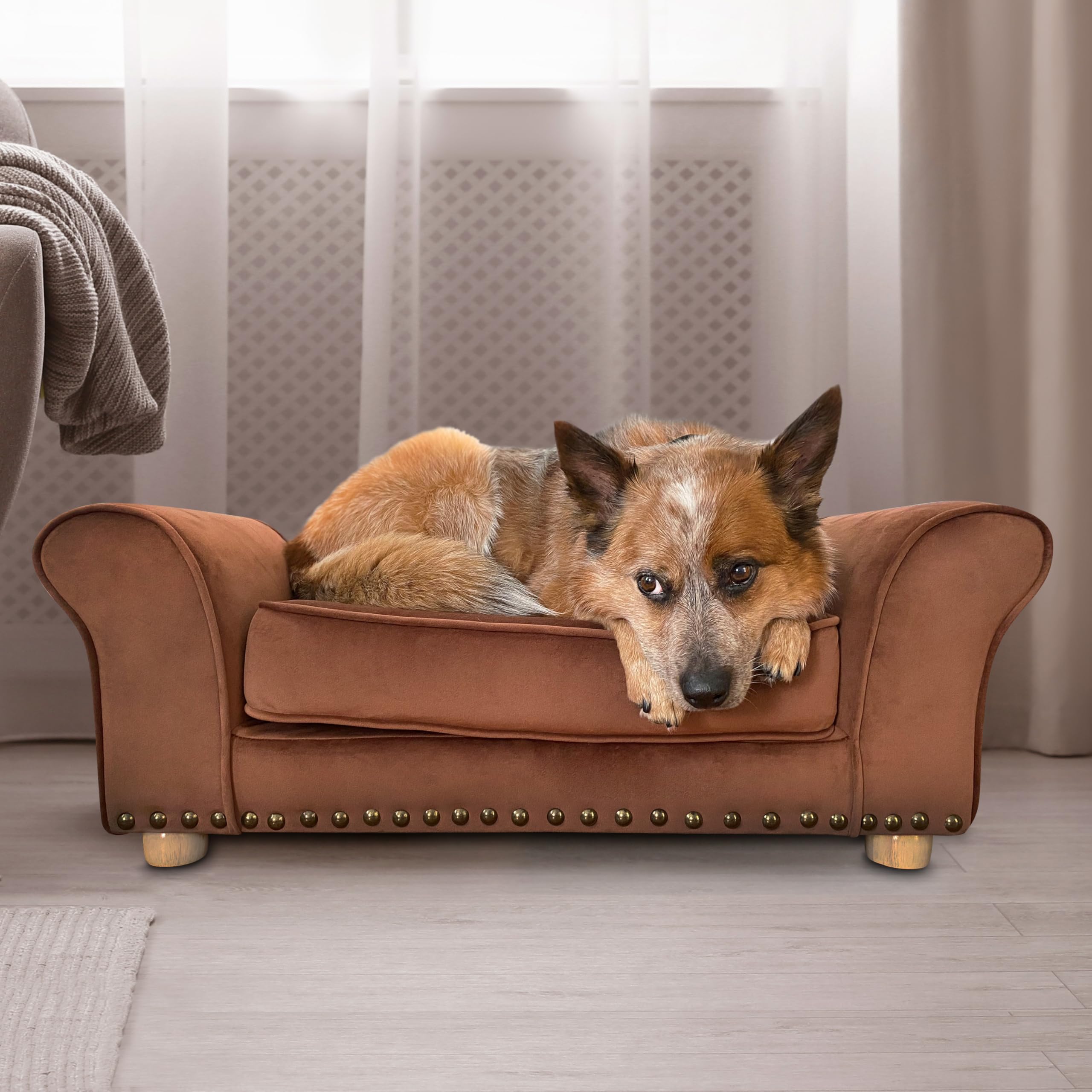 Critter Sitters 34-in. Faux Velvet Sofa in Brown for Medium-Sized Dogs and Cats, Durable and Stylish Dog Bed for Bedroom and Liv