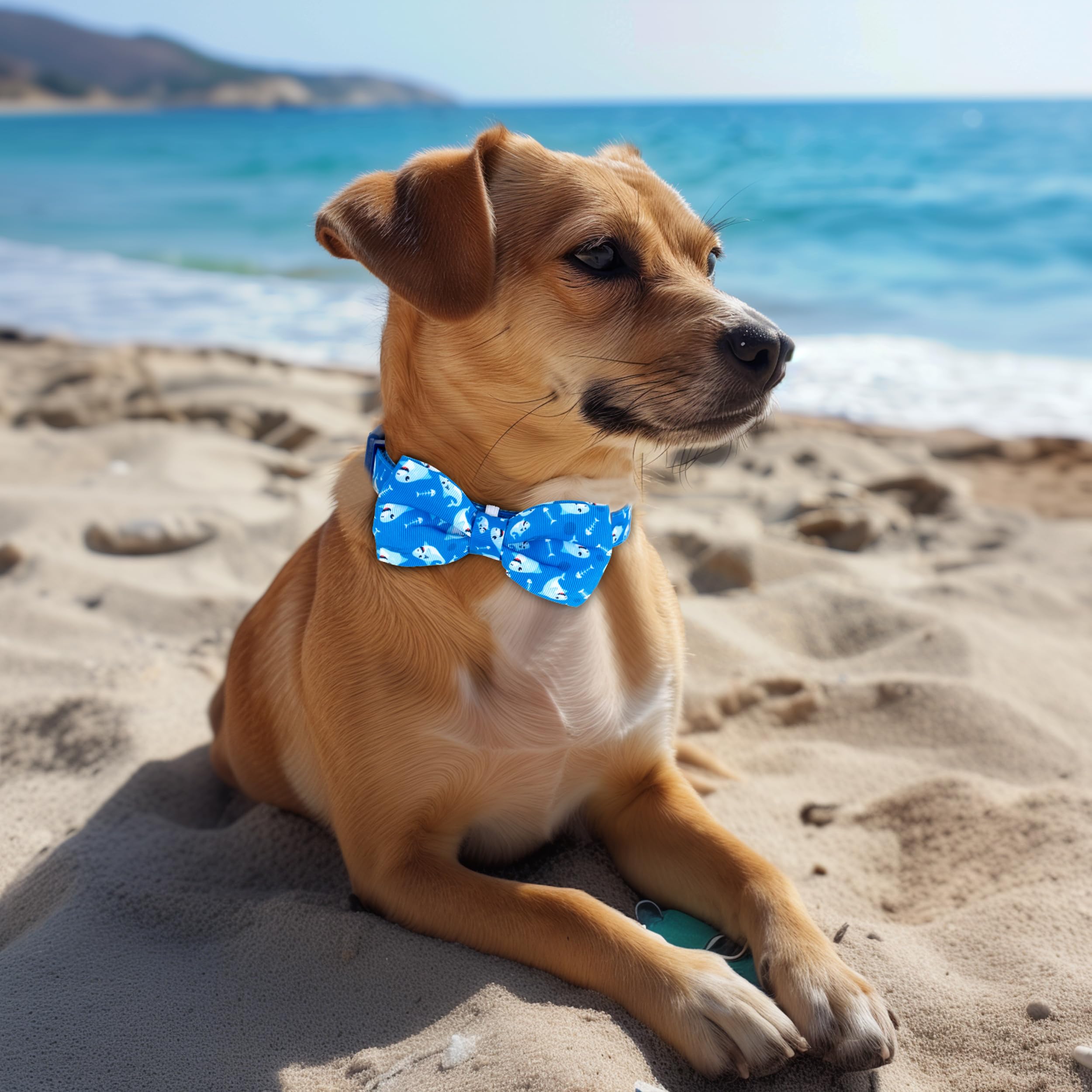 Azuza Dog Collar With Bow Tie, Soft And Comfortable Adjustable Bowtie Dog Collar For Small Dogs (S, Shark)