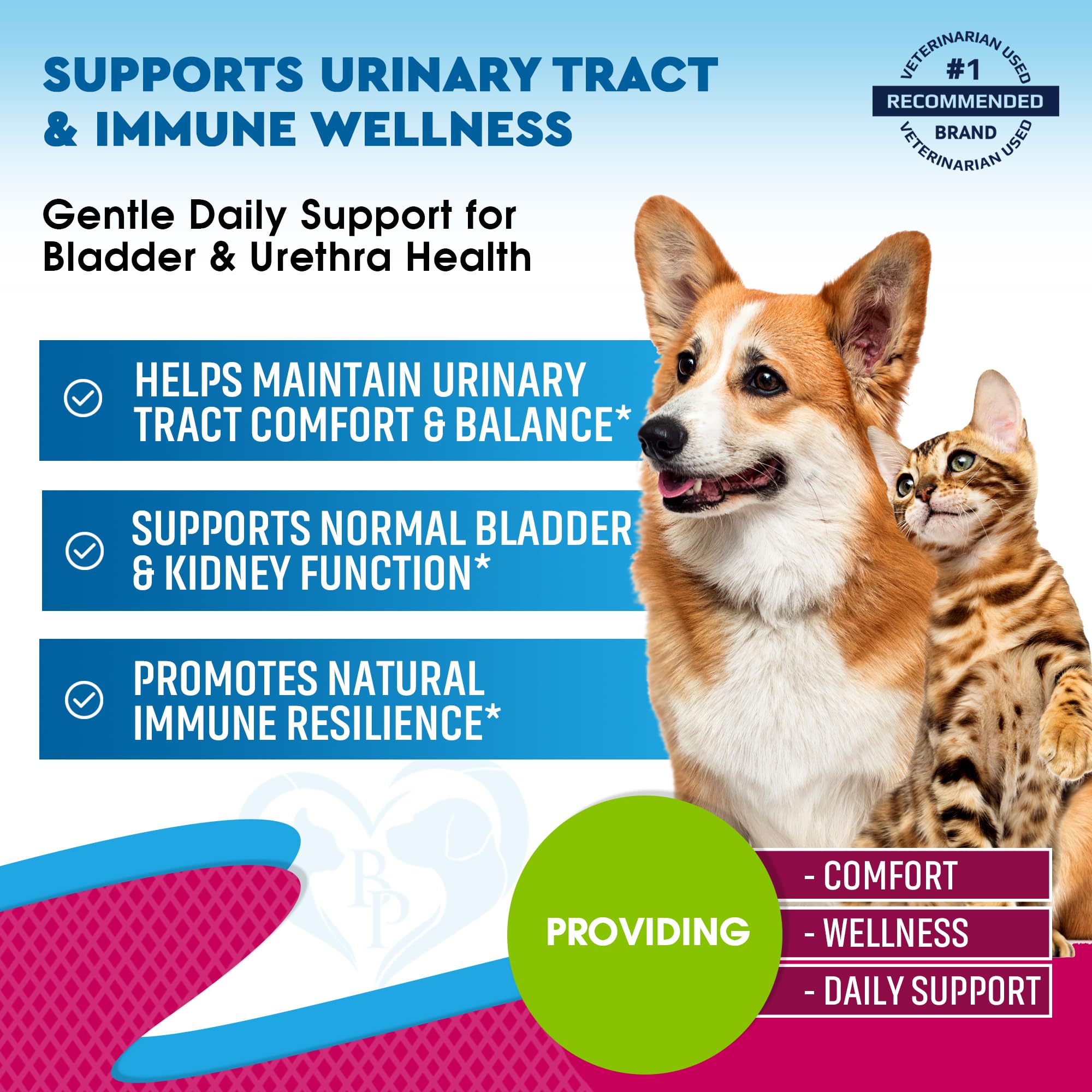Beloved Pets Cat & Dog UTI Treatment - Cranberry & D-Mannose - 2 Pack (60 ml each) - Natural Kidney & Bladder Support