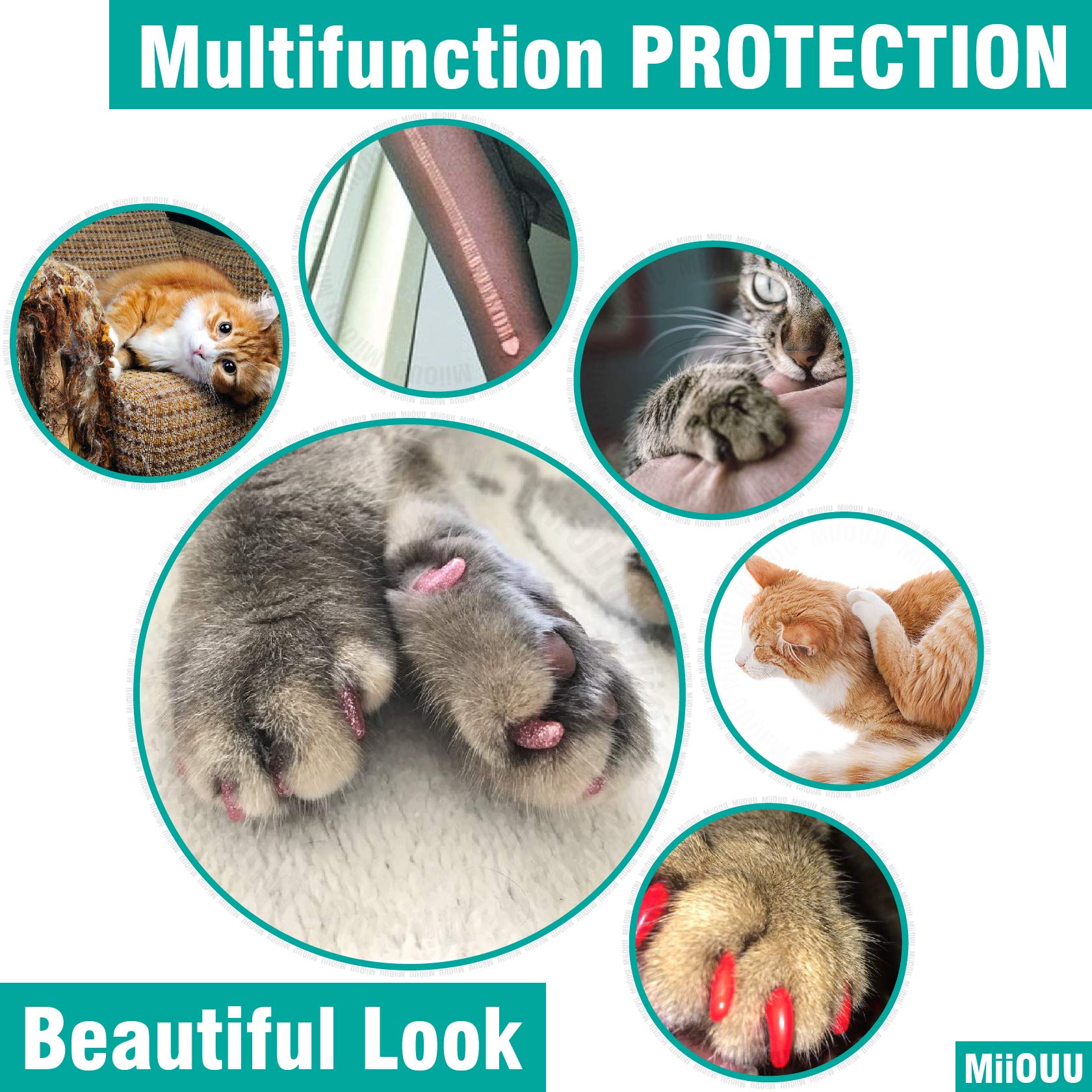Miiouu 10X Colors / 100 Pcs Cat Nail Caps | Cat Claw Covers With Adhesives And Applicators | Alpha (S)