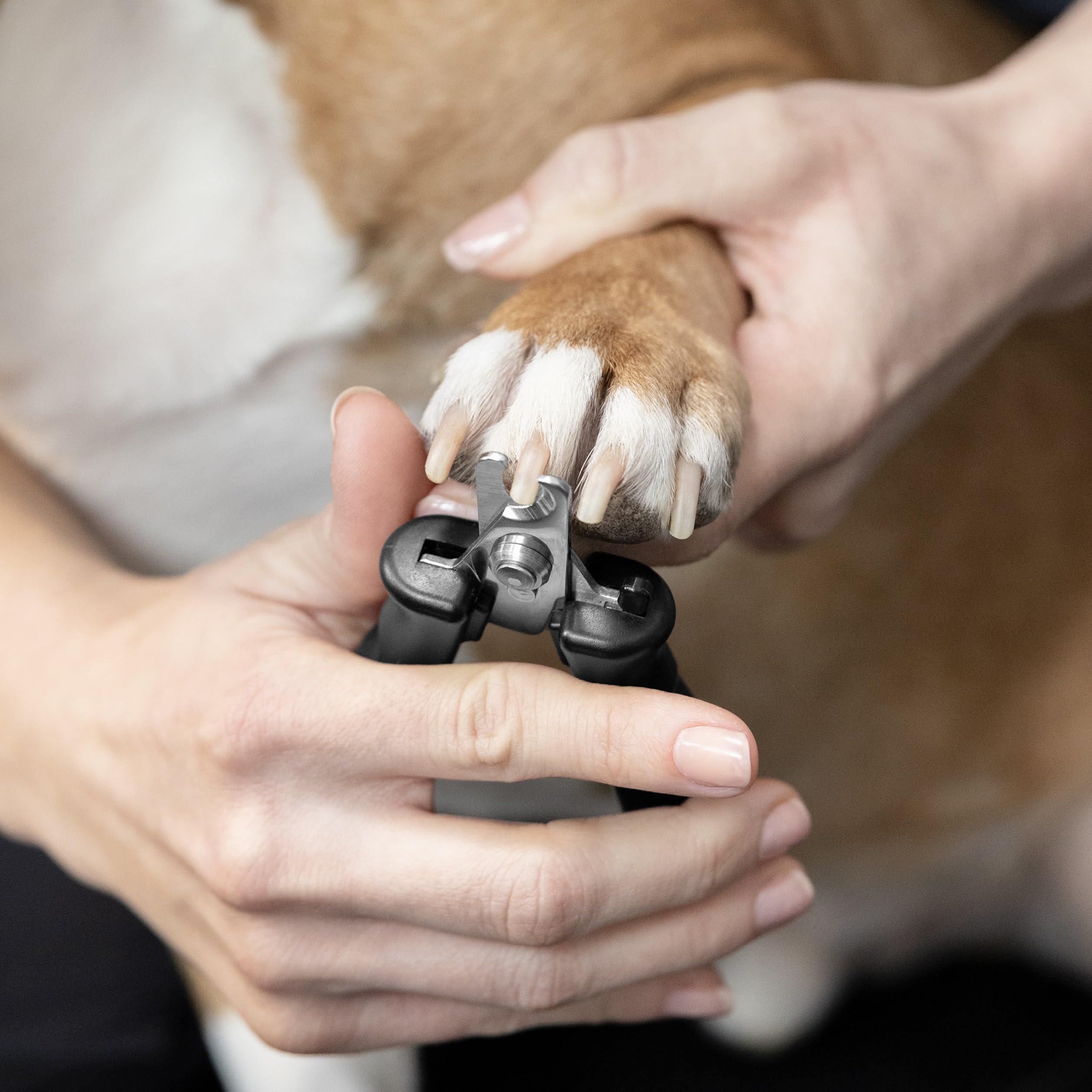 Tweezerman Small Nail Clippers For Dogs & Cats, Manual Professional Dog & Cat Nail Trimmer With Ergonomic Handle