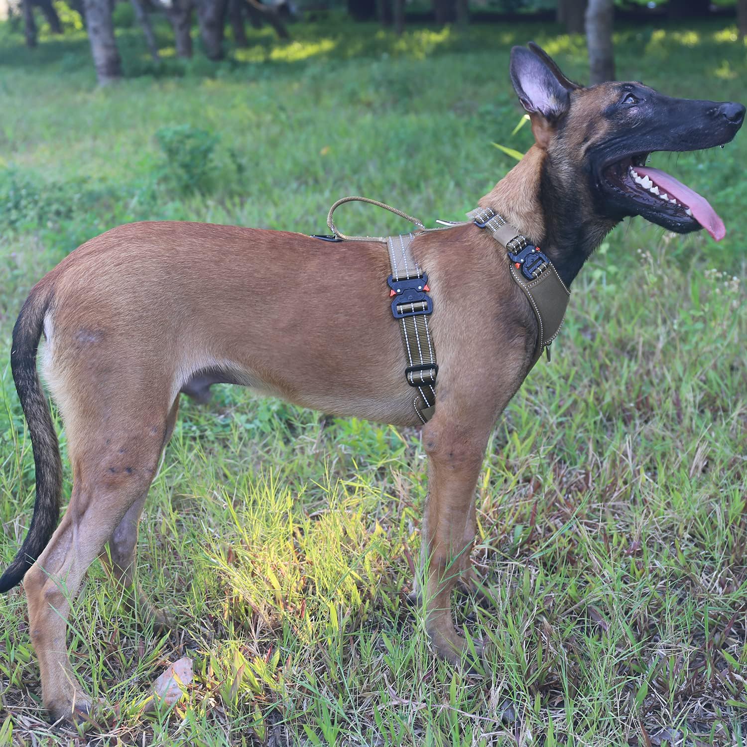 ICEFANG Dog Strap Harness, Adjustable No-Pull K9 Vest, Y-Shape Chest, Large, Brown, Nylon, 4 Metal Buckles