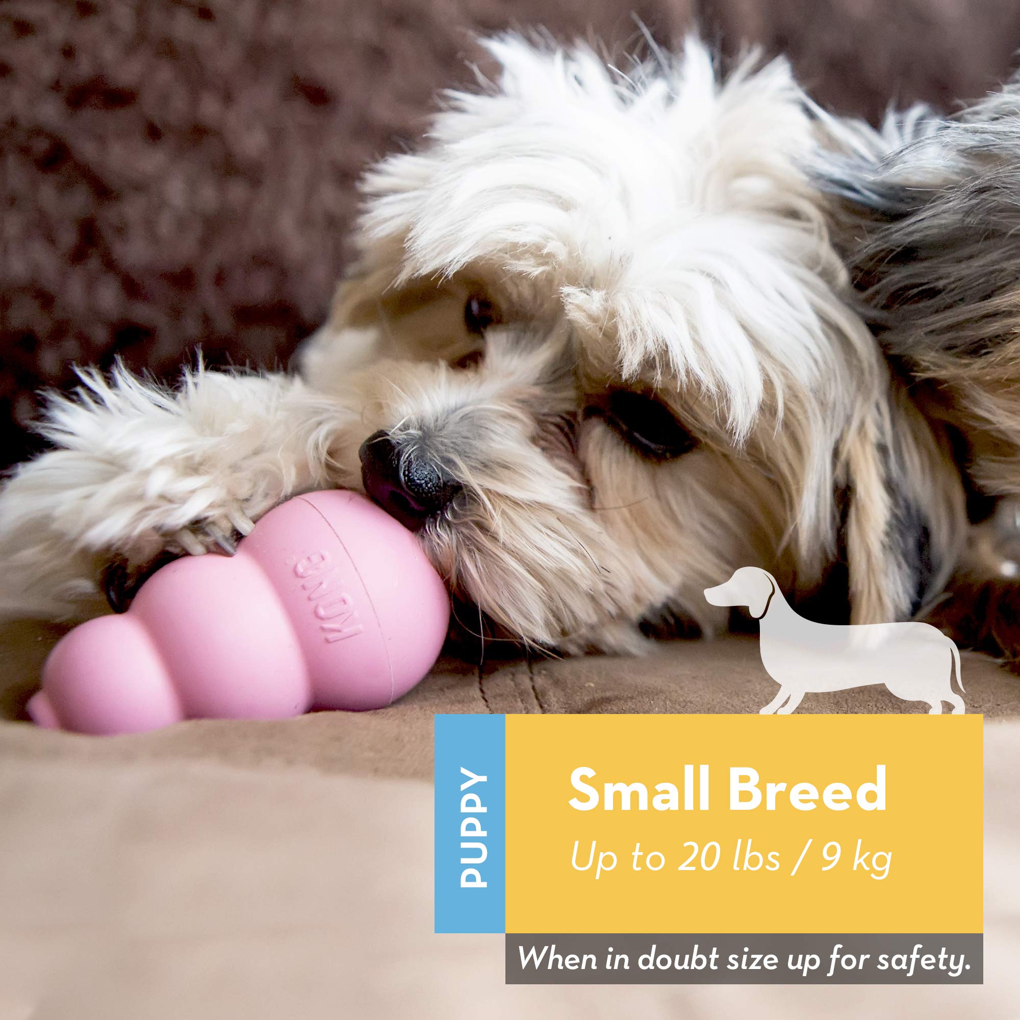 KONG - Puppy and Ziggies - Puppy Toys for Teething with Treats (Colors May Vary) - for Small Puppies