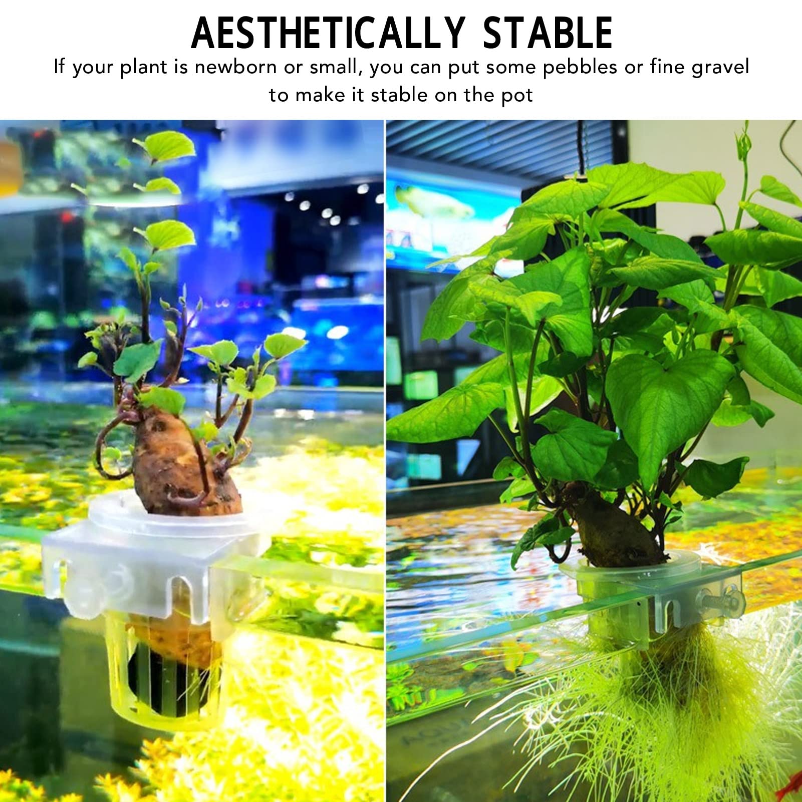 Hanging Aquarium Plant Holder, Aquatic Plants Holder With Fixed Frame Aquarium Planter Cup Aquarium Decorations Plants Pot For D