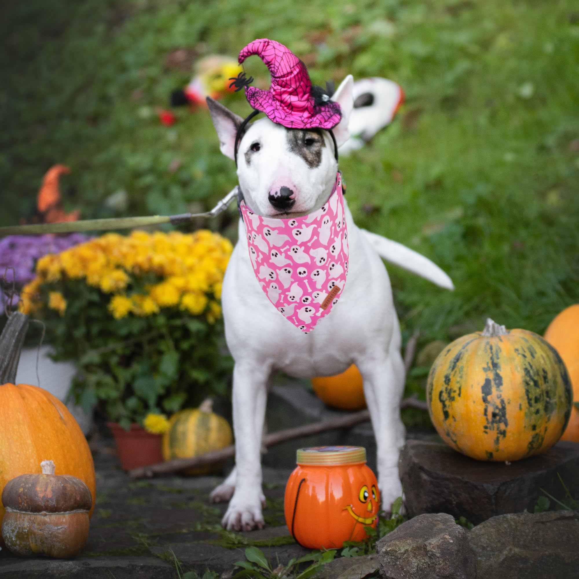 Adoggygo Halloween Dog Bandana, Halloween Pumpkin Ghost Dog Scarf, Premium Durable Fabric, Adjustable Fit Female Dog Halloween Bandanas For Large And Extra Large Dogs Pets (X-Large, Halloween)