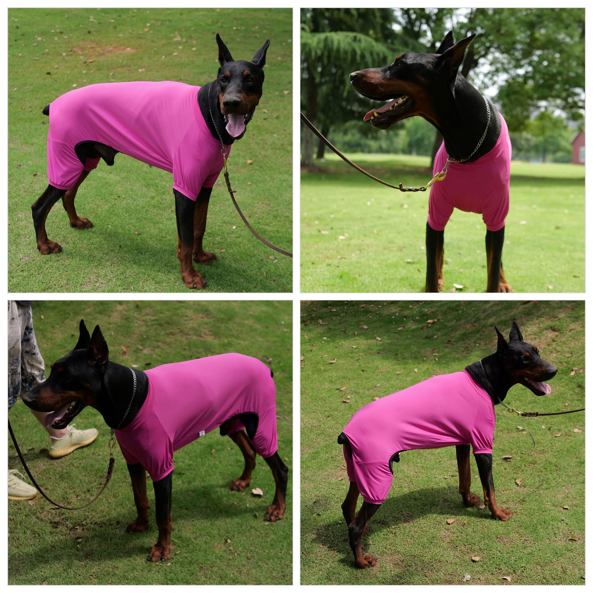 Lovelonglong Dog Jumpsuit With Uv Protection And Quick-Dry Fabric For Spring Summer Pet Pajamas Purplish Red 3Xl