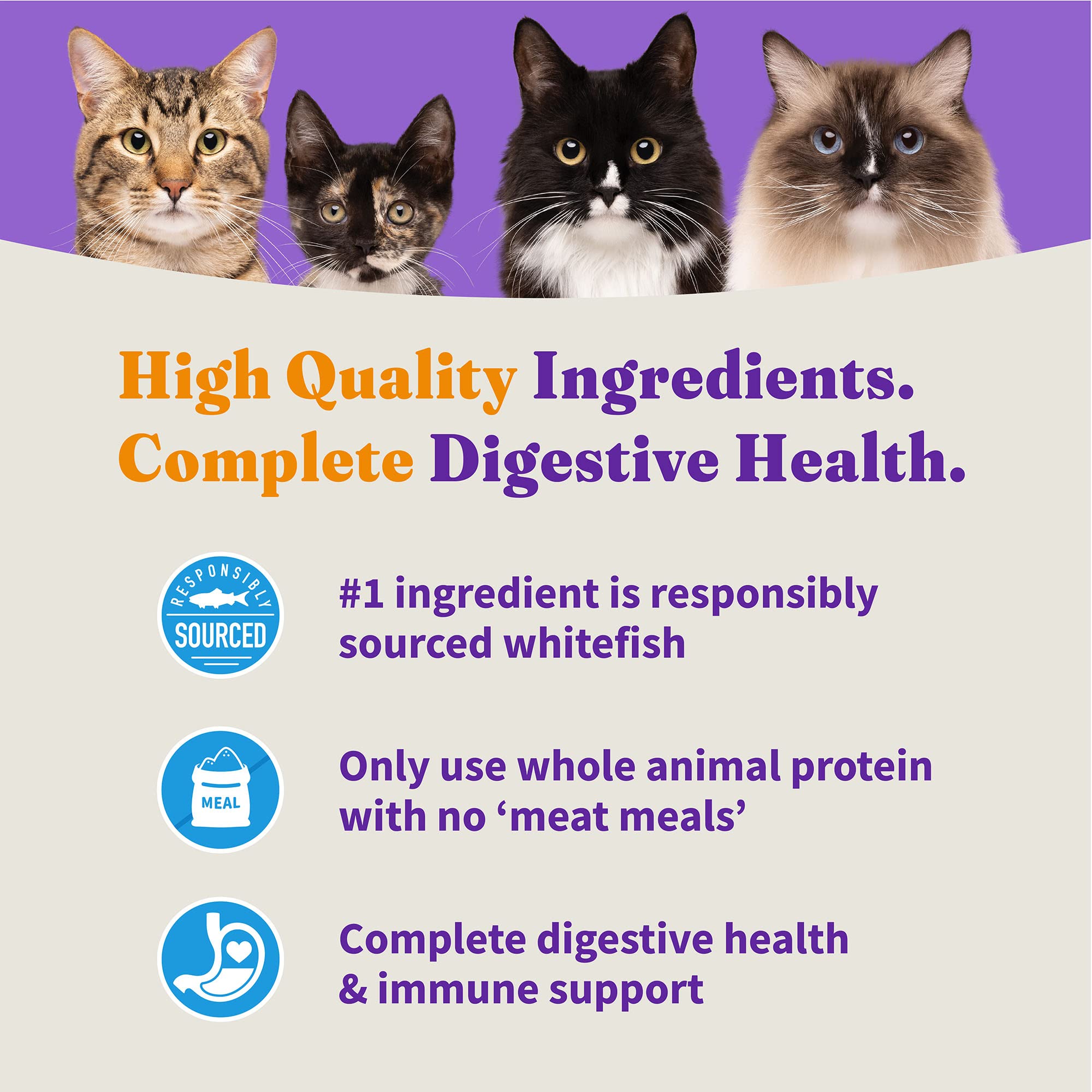 Halo Holistic Cat Food Dry, Wild-caught Whitefish Recipe for Sensitive Stomach Support, Complete Digestive Health, Dry Cat Food