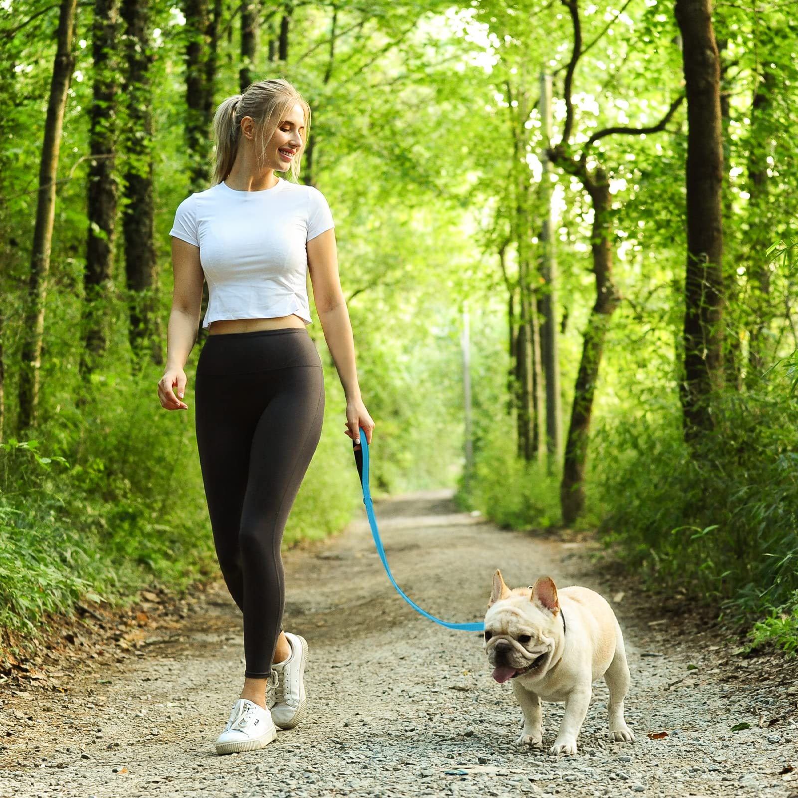 Vivaglory Dog Leash, Dog Training Leashes With Comfortable Neoprene Padded Handle, Heavy Duty Walking Leash For Small & Medium Dogs