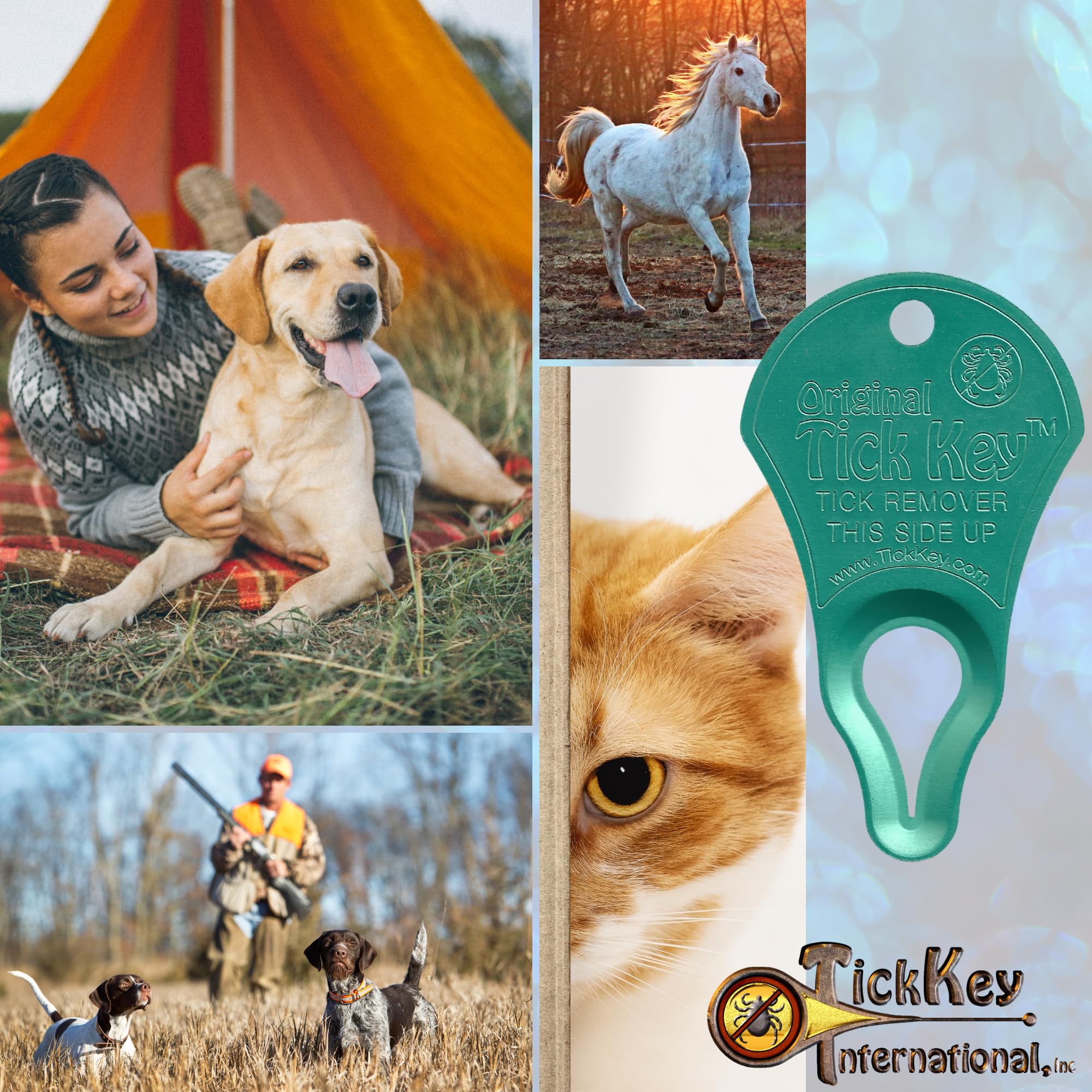 The Original Tick Key - Tick Detaching Device - Portable, Safe And Highly Effective Tick Detaching Tool (Sea Foam)