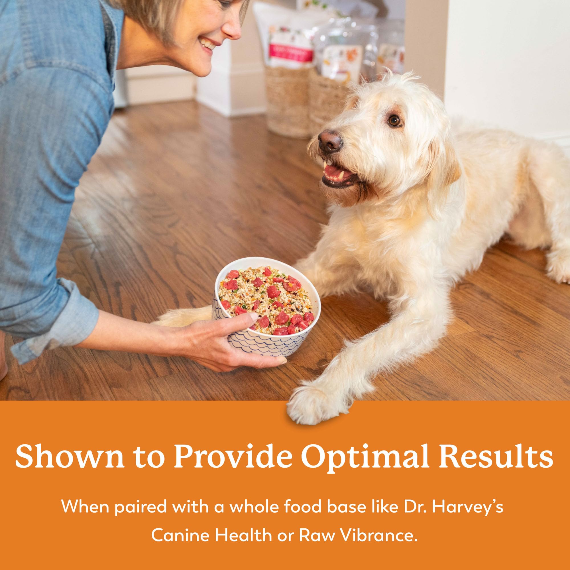 Dr. Harveys Runs Be Done Anti-Diarrheal Digestive Tract Supplement for Dogs (7 Ounces)