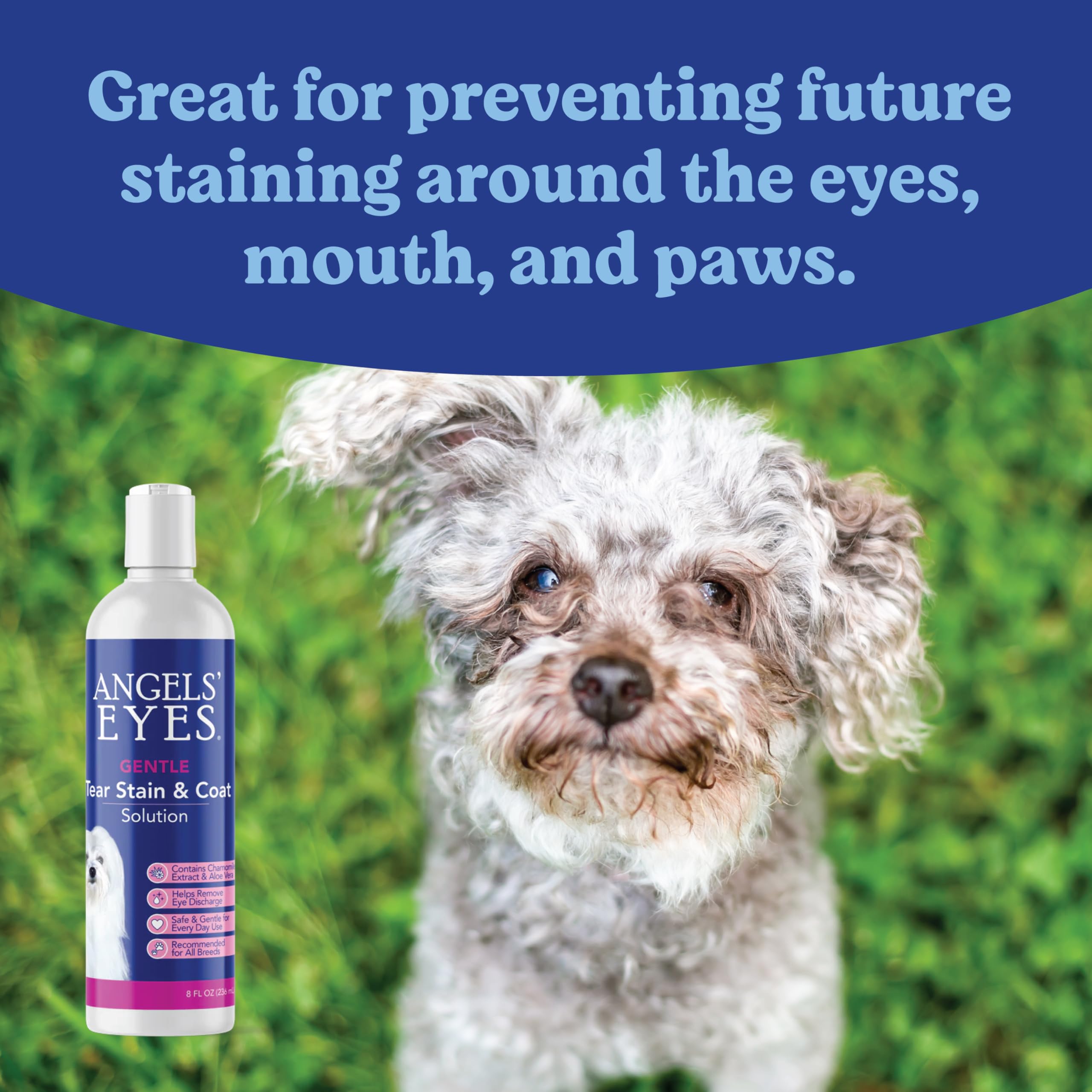 ANGELS EYES Gentle Tear Stain Solution for Dogs and Cats | 8 oz Solution for Eye Area and Face | Remove Discharge, Dirt, Tear S