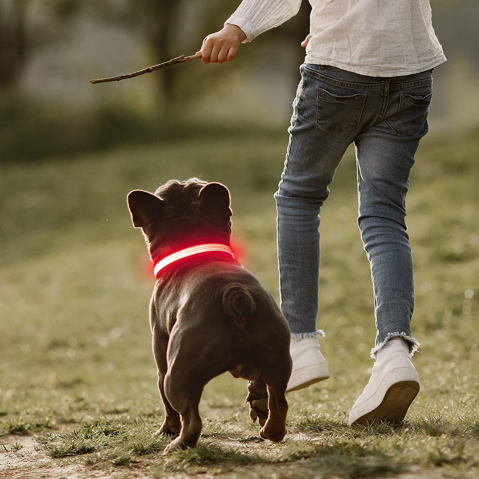Yfbrite Full Adjustbale Led Dog Collar, Full Illuminated Light Up Dog Collars, Reflective Dog Collar Light Glowing In The Dark For All Dogs Safety (Small, Pink-2)